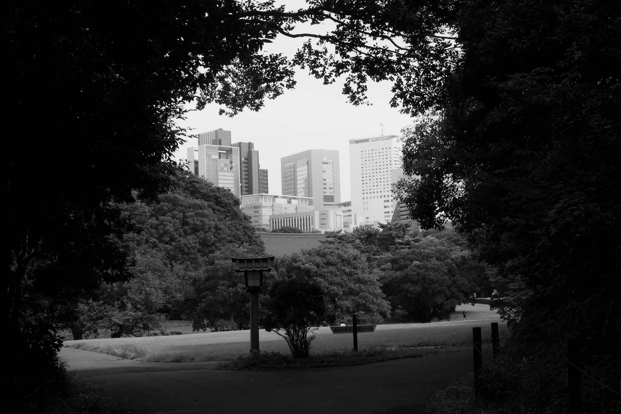 Black and white photograph of an urban cityscape viewed through a park with trees, bushes, and a pathway in the foreground. Tall buildings are visible in the background.