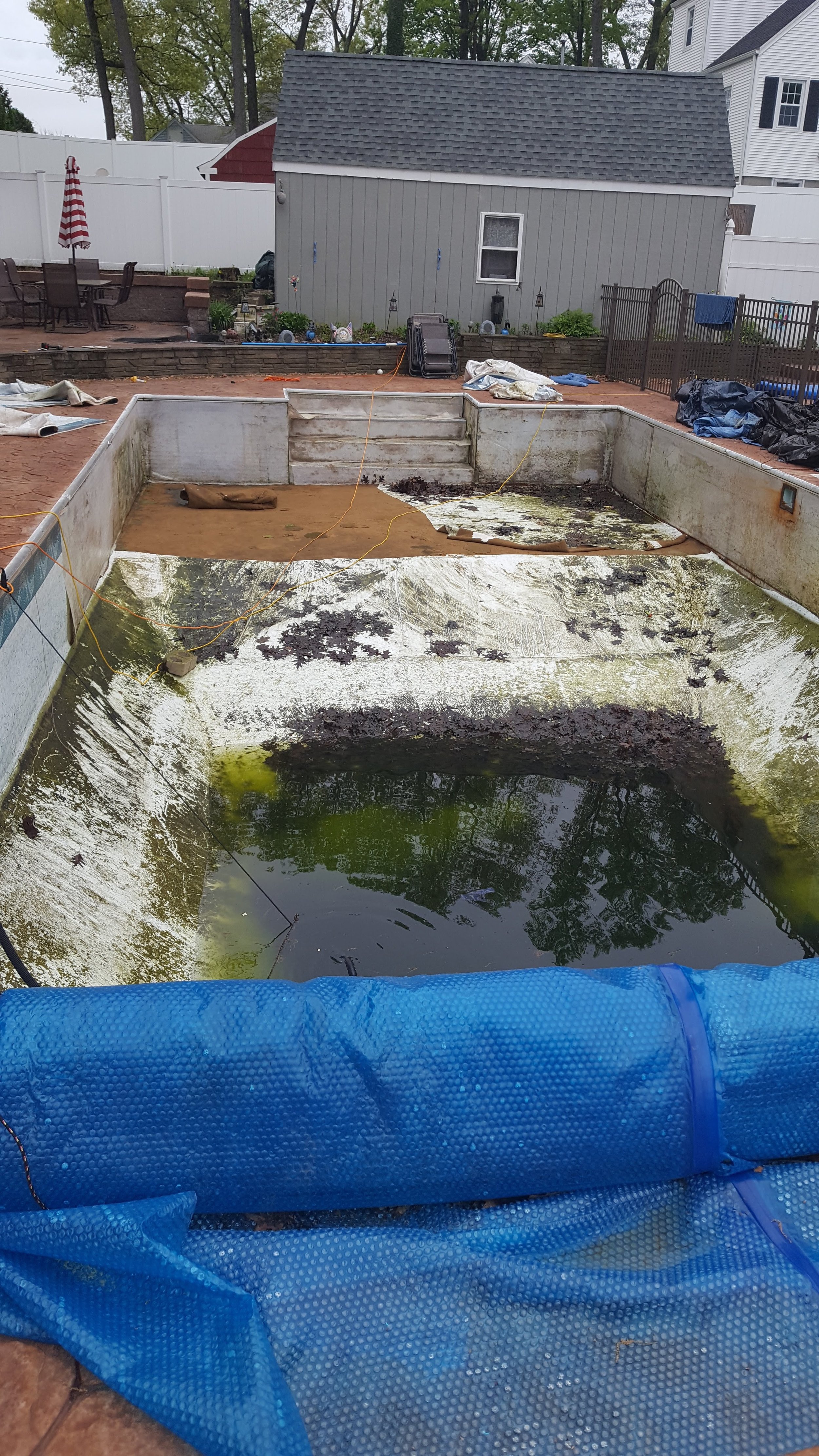 A backyard swimming pool that is empty and dirty with algae and debris, surrounded by a blue pool cover partially removed, with a fenced patio area and a small shed in the background.