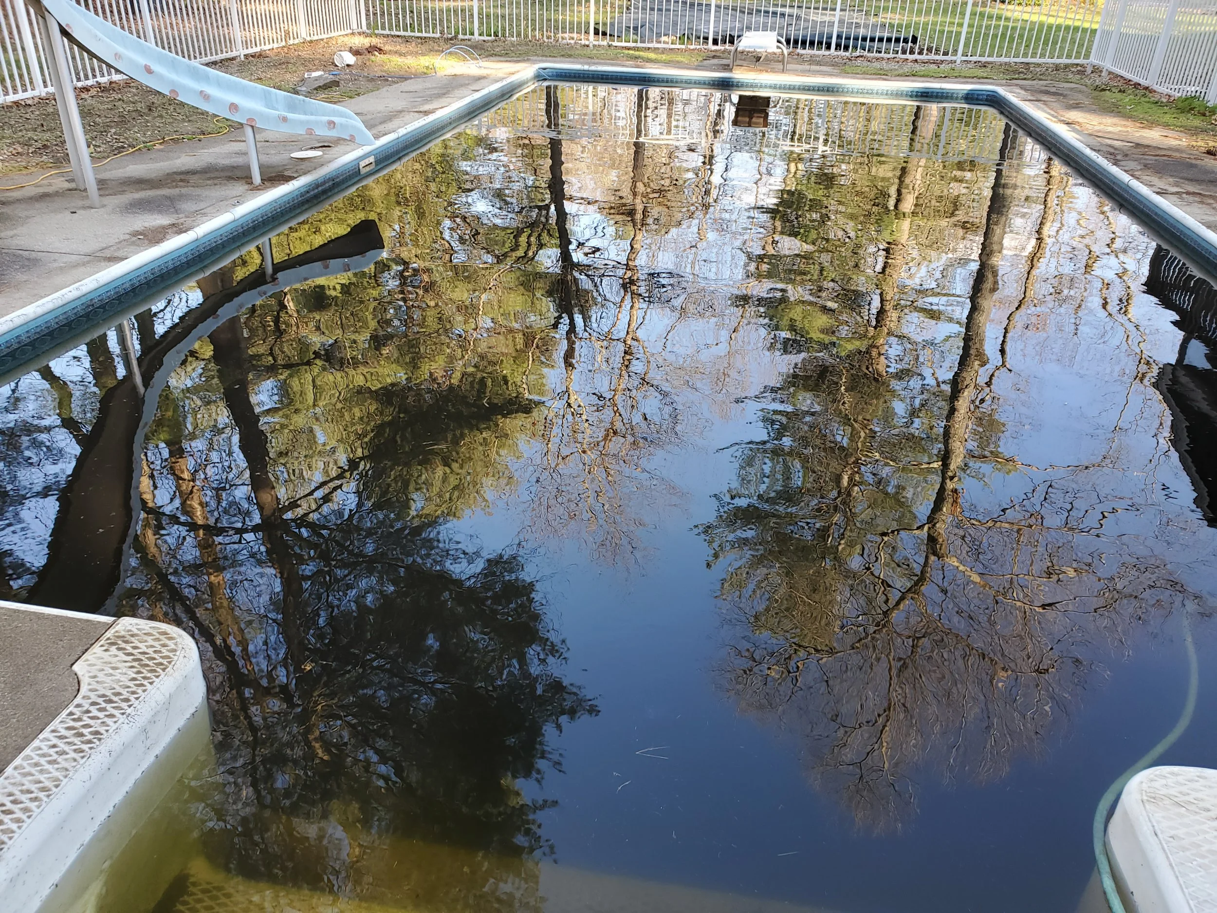 A swimming pool filled with stagnant water and surrounded by a white fence, with one side having a blue slide. The water reflects trees and the sky.