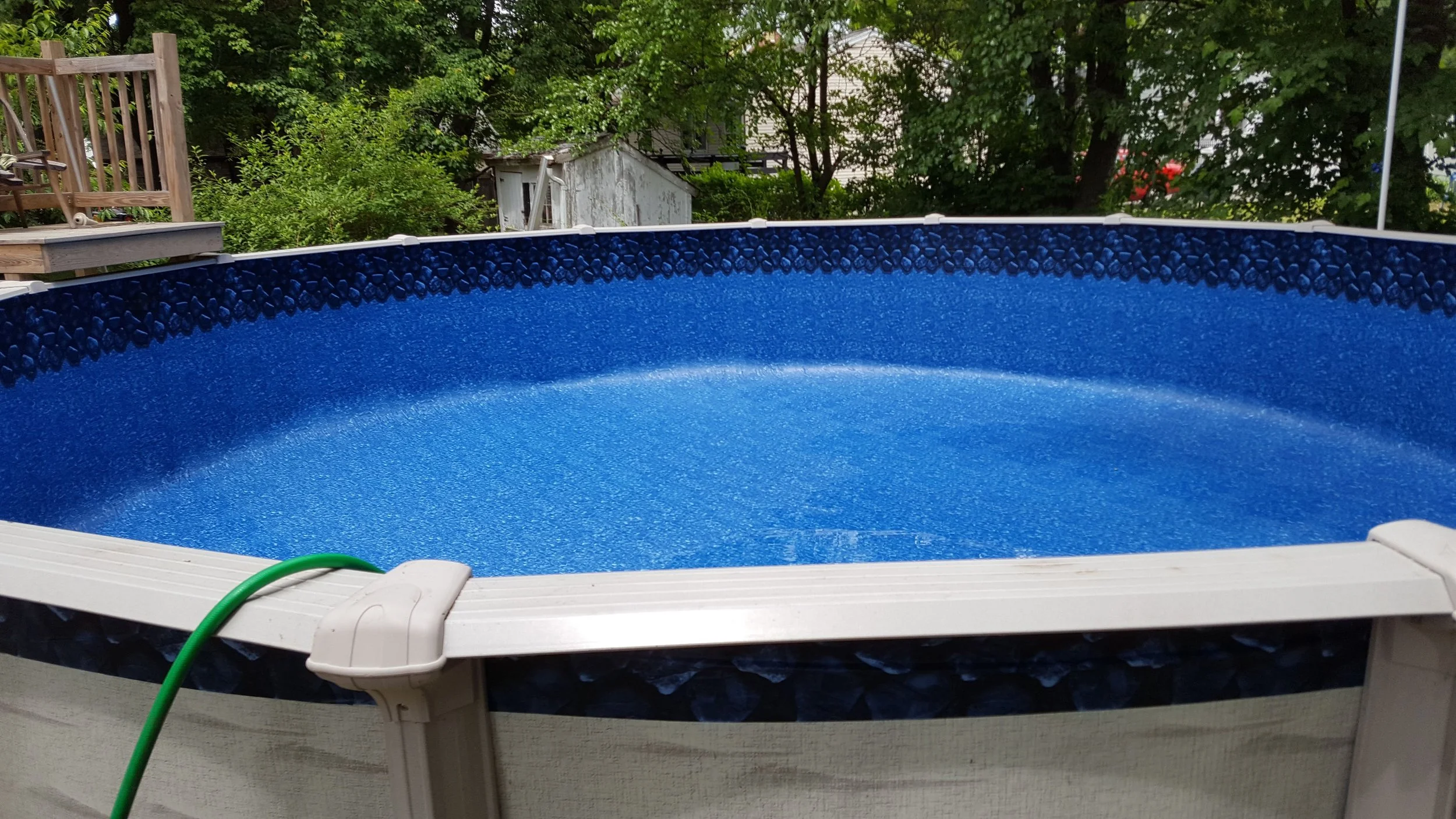 Above-ground blue swimming pool with textured walls in a backyard, surrounded by green trees and plants, with a garden hose on the side.