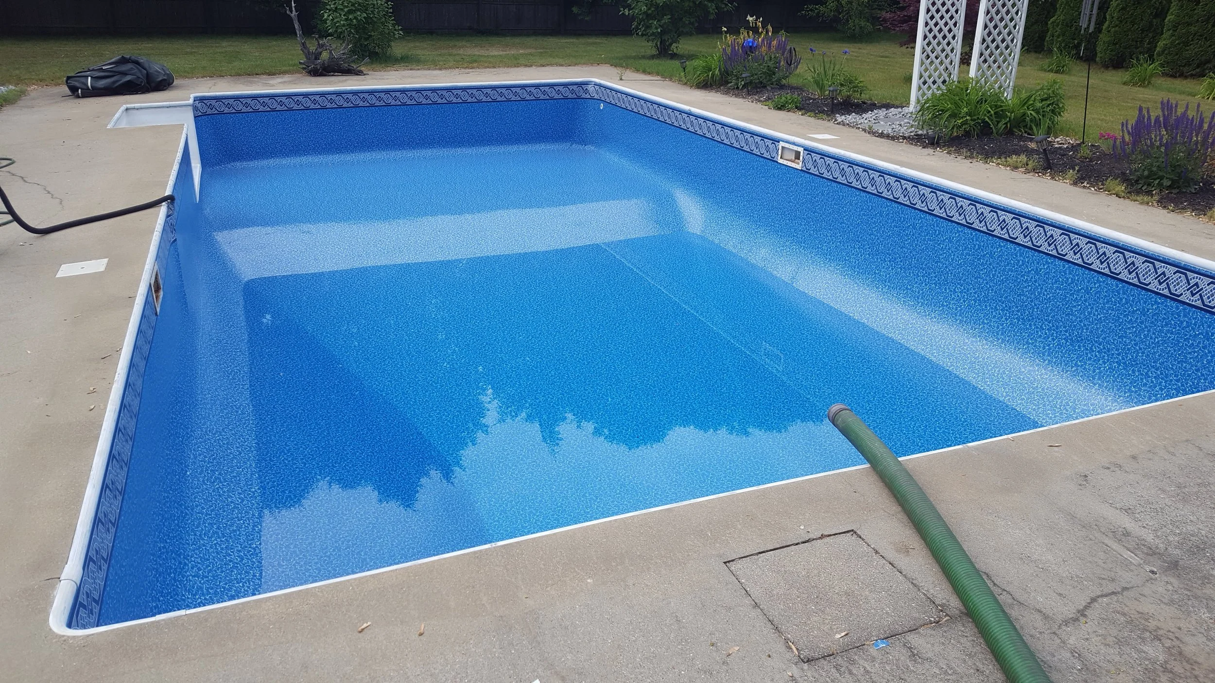 A rectangular in-ground swimming pool with a blue interior and patterned border tiles, located in a backyard with a concrete patio, some plants, and a garden area.
