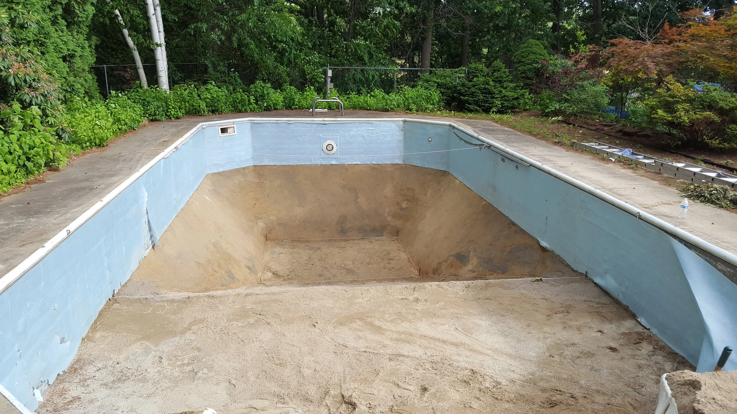 An empty swimming pool with a dirt bottom, surrounded by concrete pool deck, greenery, and trees.