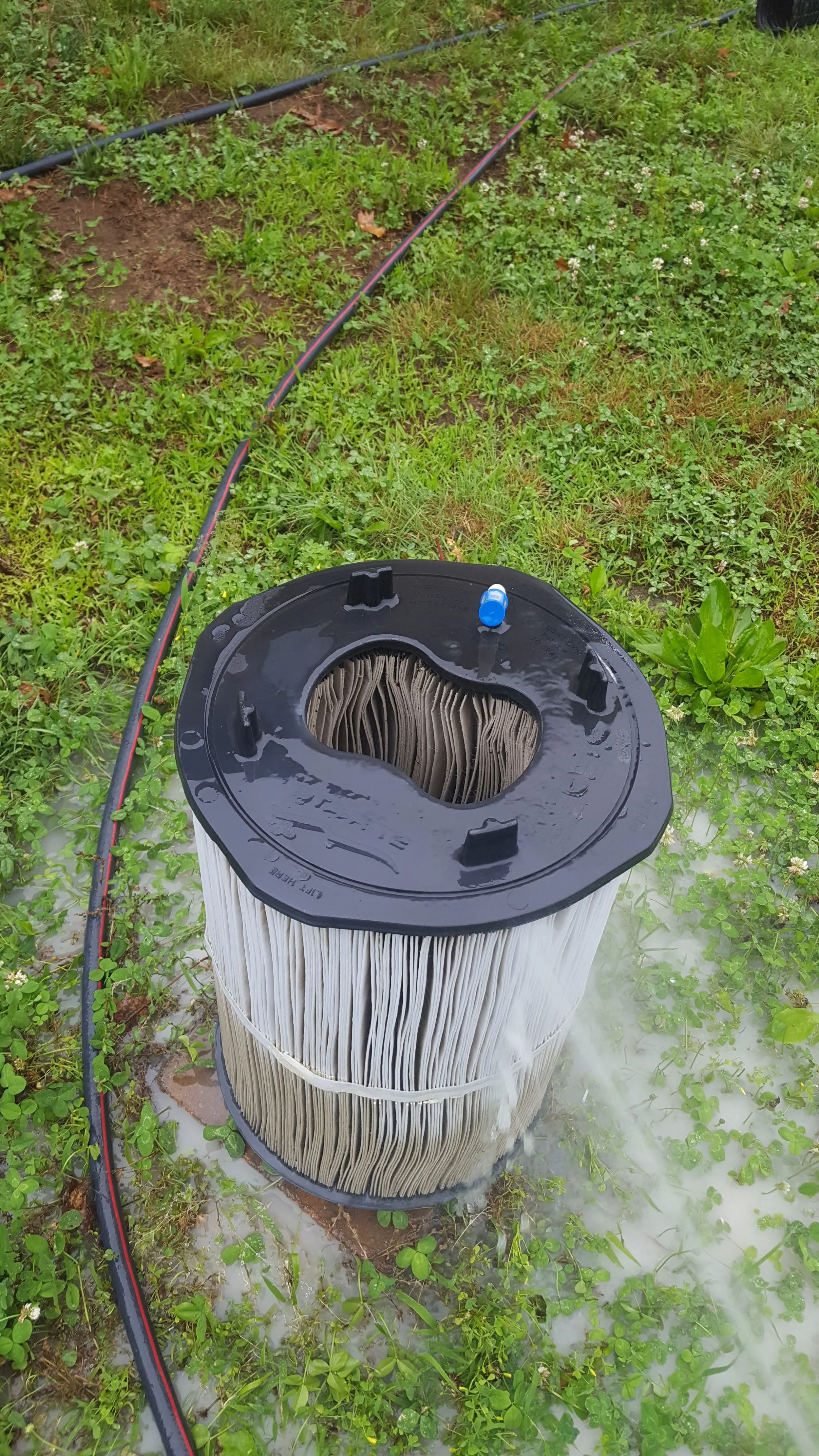 A pool filter with a black top and white pleated filter media is lying on grass; there are drip marks on the top and a small blue connector on the side.