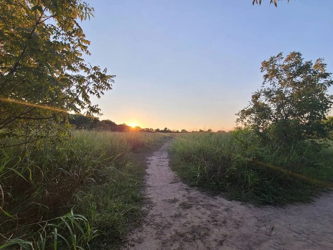 Above all else, remember to take the time to just be. 🌅 #justbe