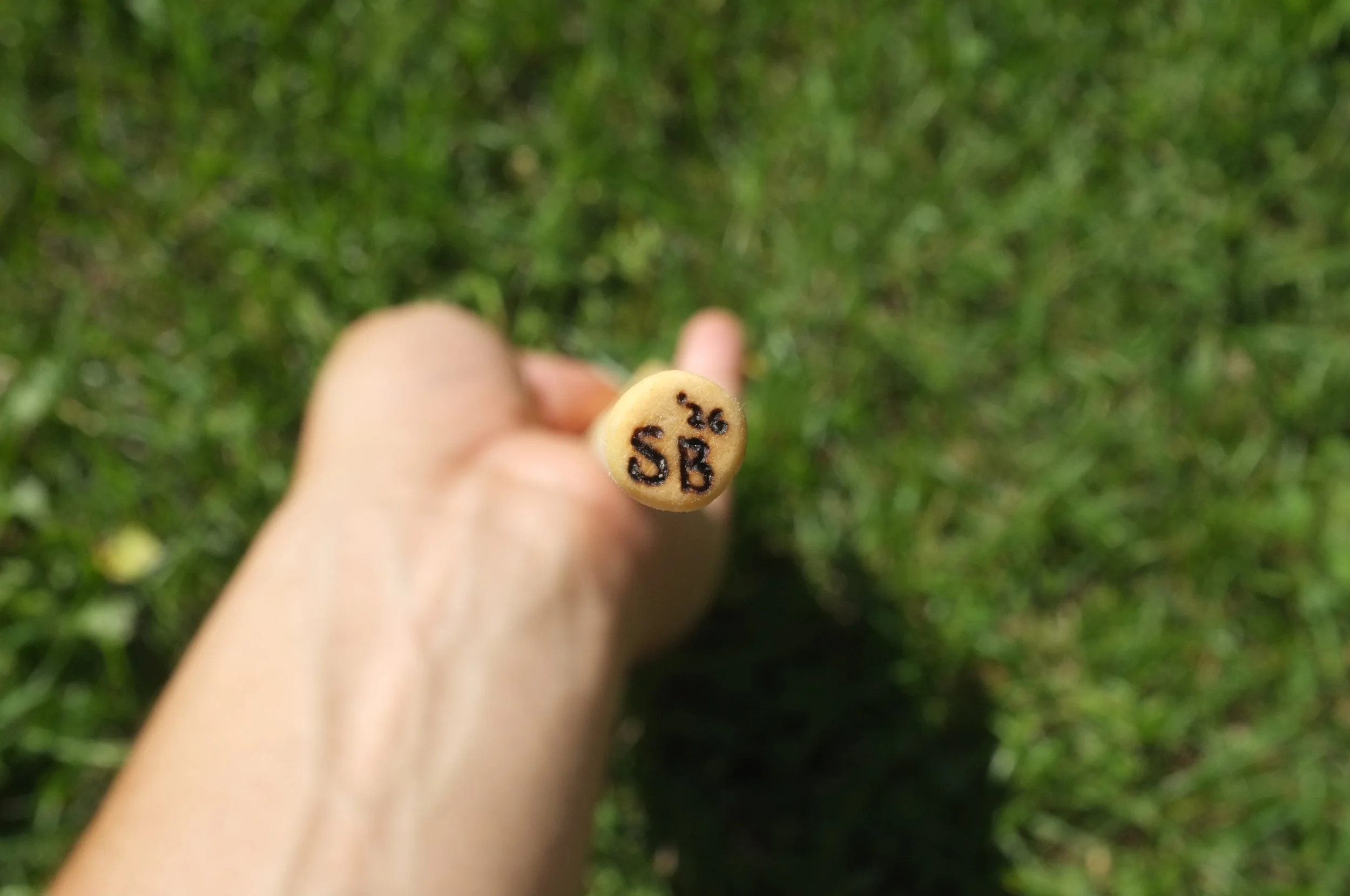 DSCF5854.JPG