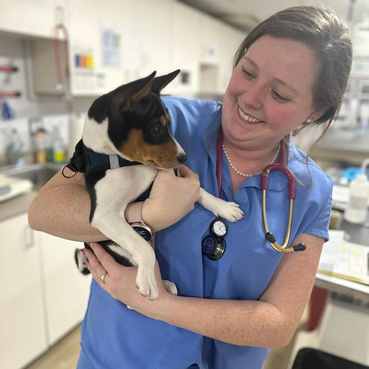 A veterinarian in scrubs holding a small black, white, and brown puppy in a veterinary clinic.