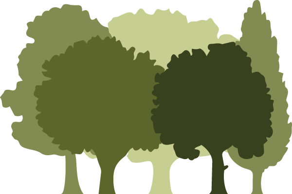 Arbor Planning