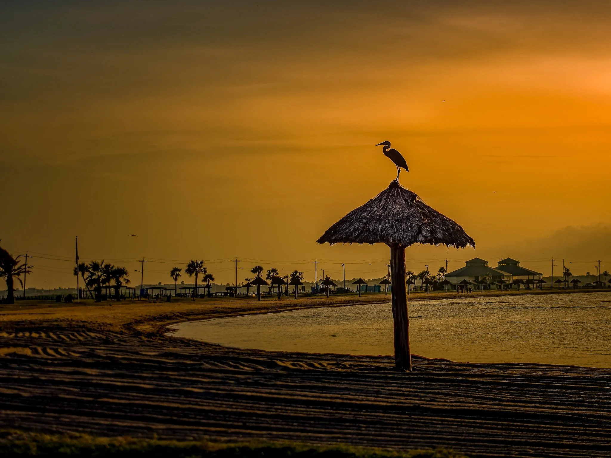 Beach at Sunset