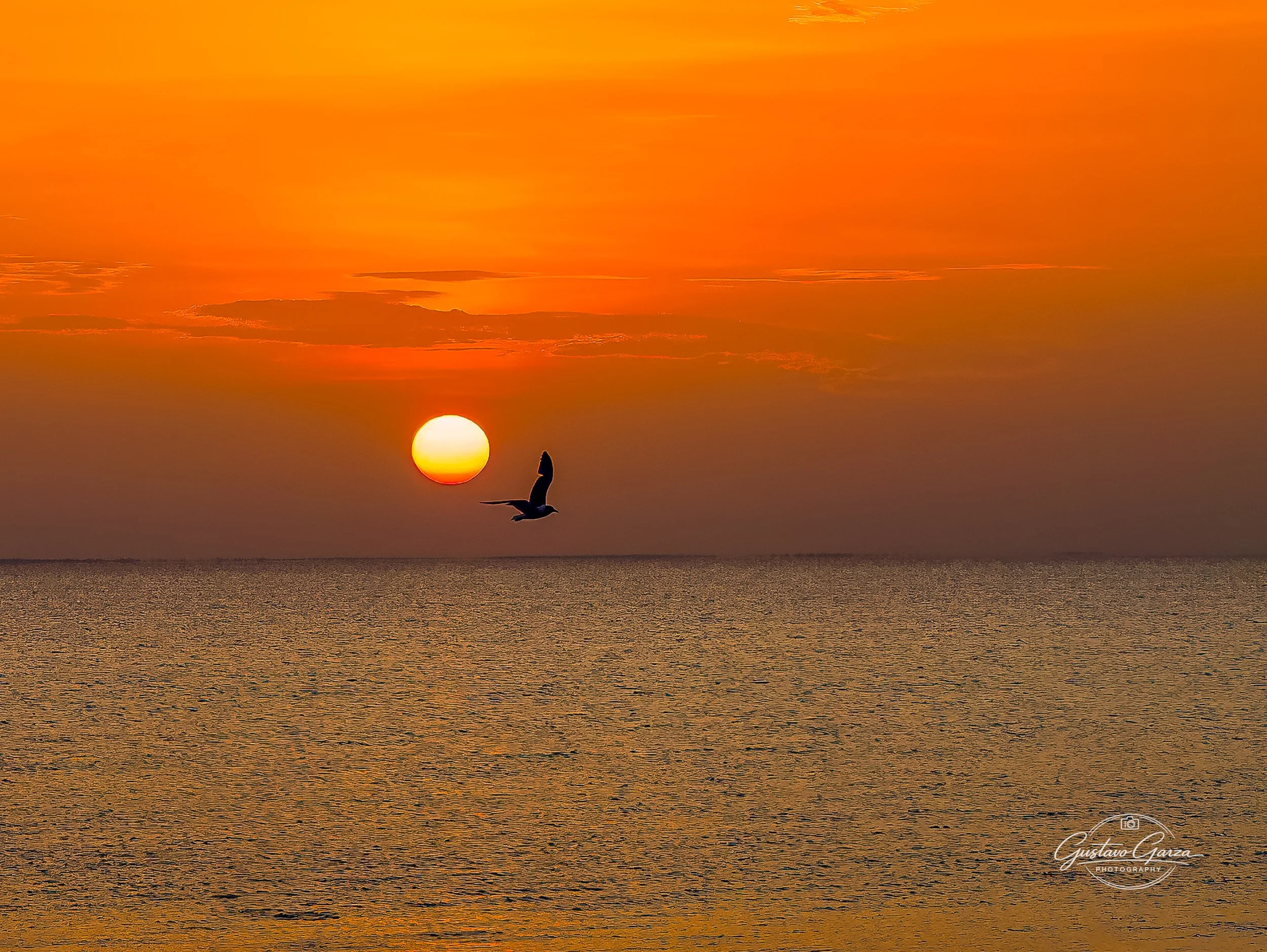 Landscape & Architectural Photography