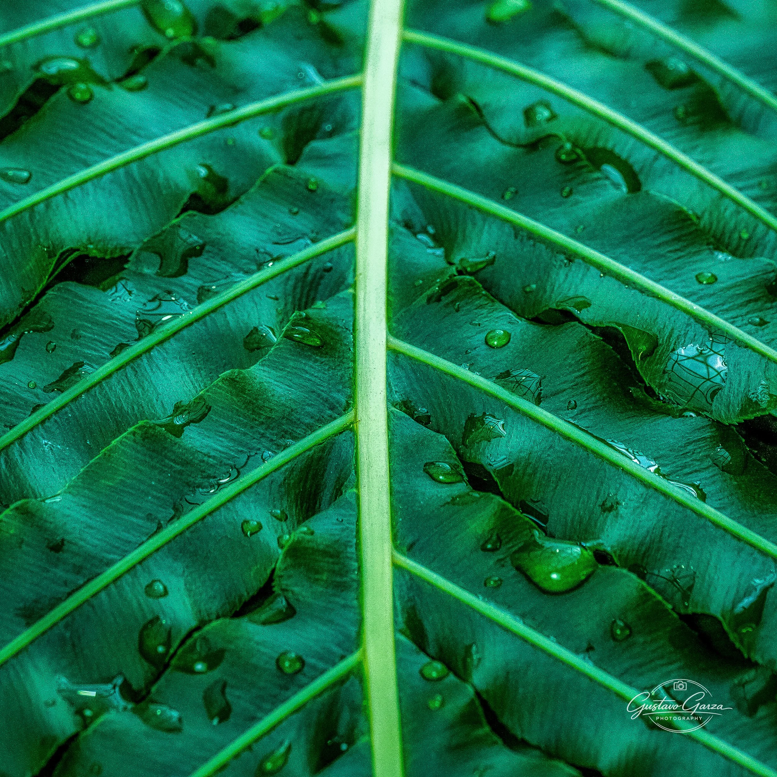 untitled-6.jpg