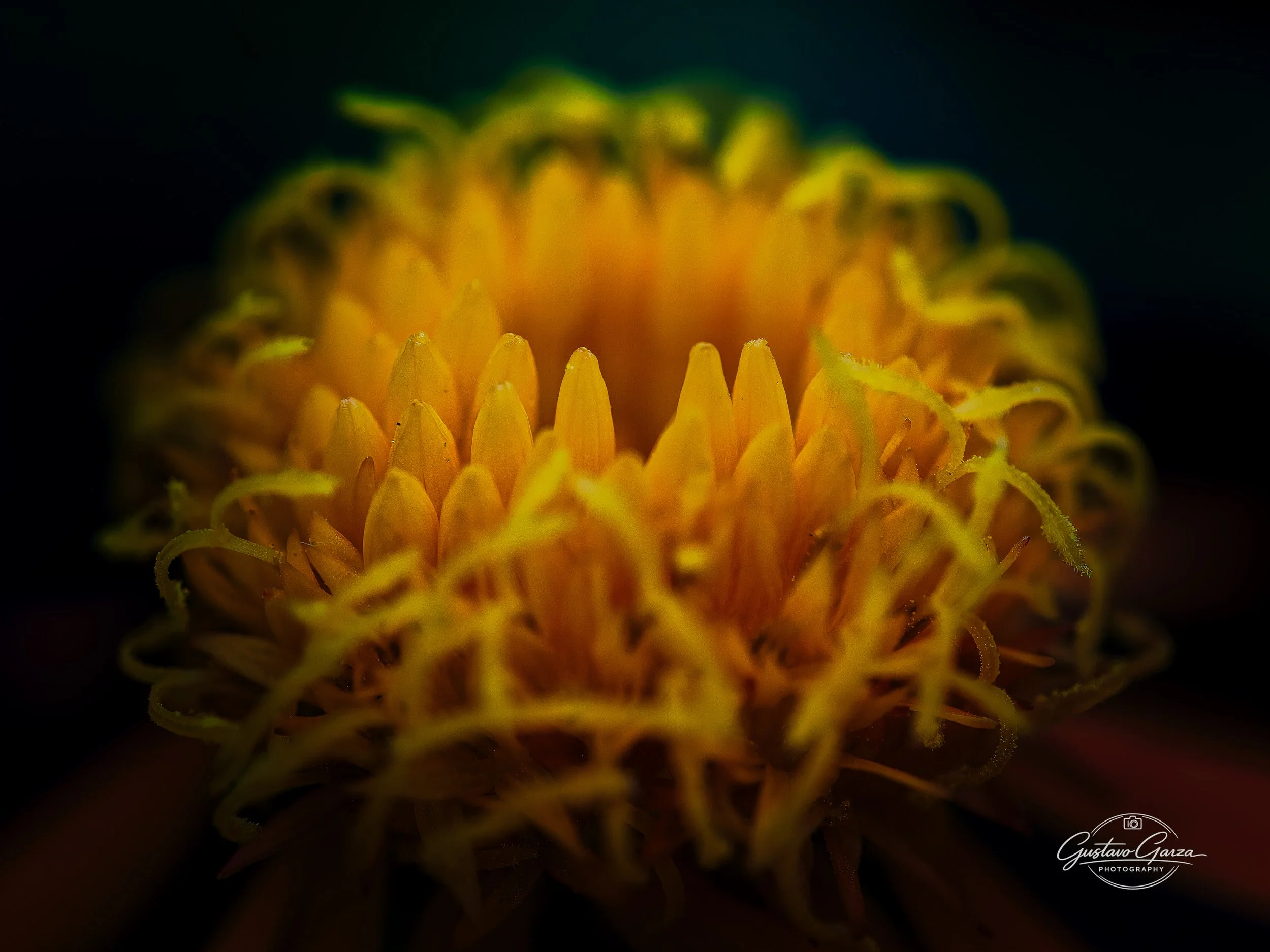untitled-36.jpg