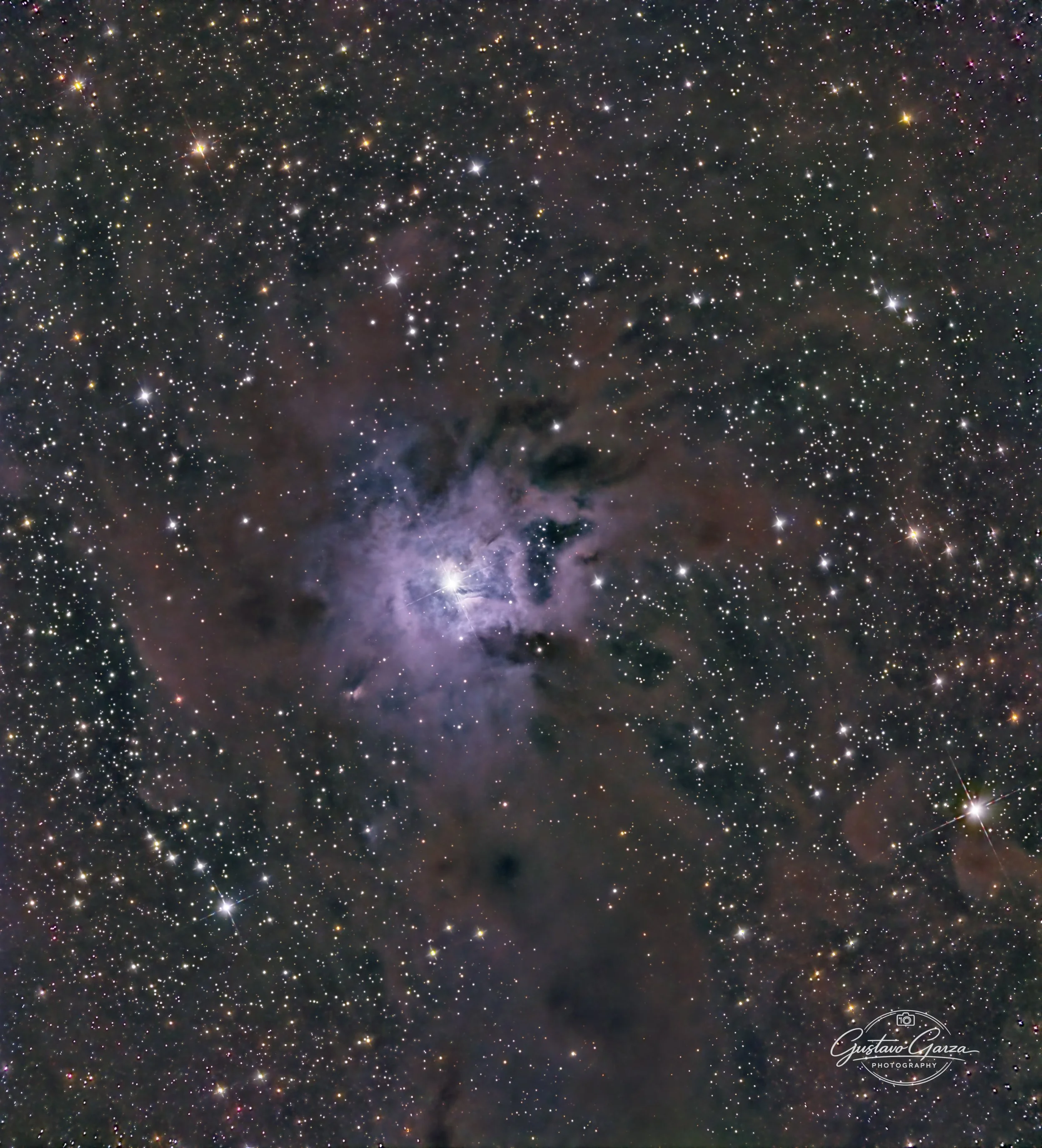 Iris Nebula
