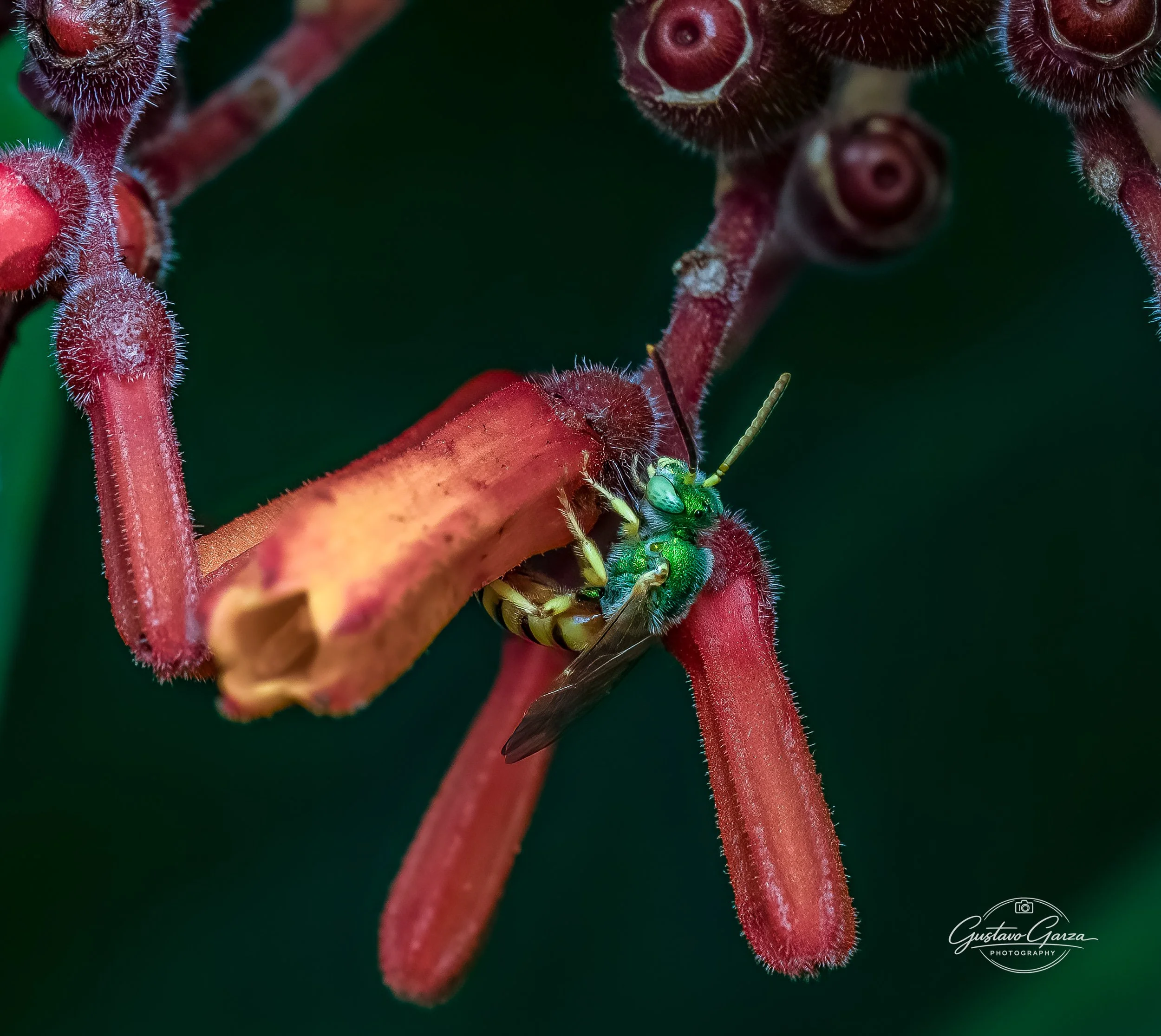 untitled-103.jpg