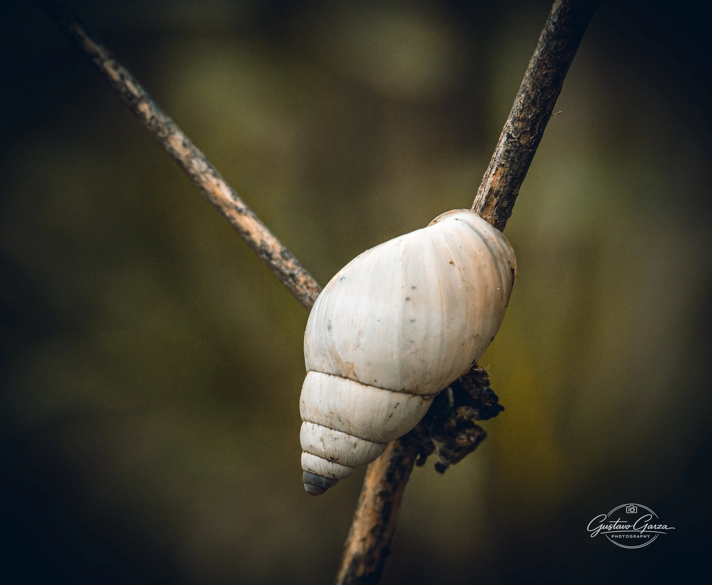 untitled-139.jpg