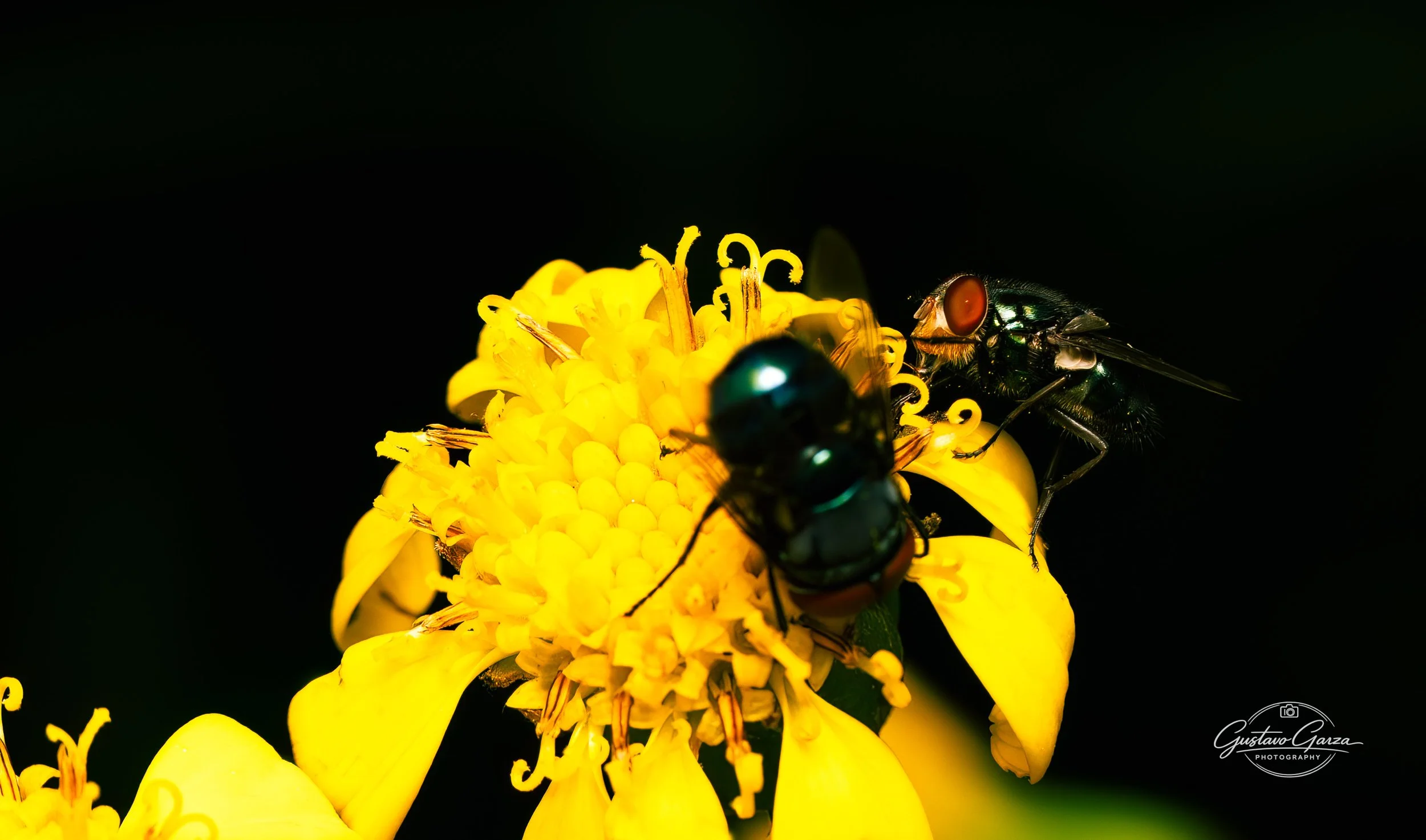 untitled-31.jpg