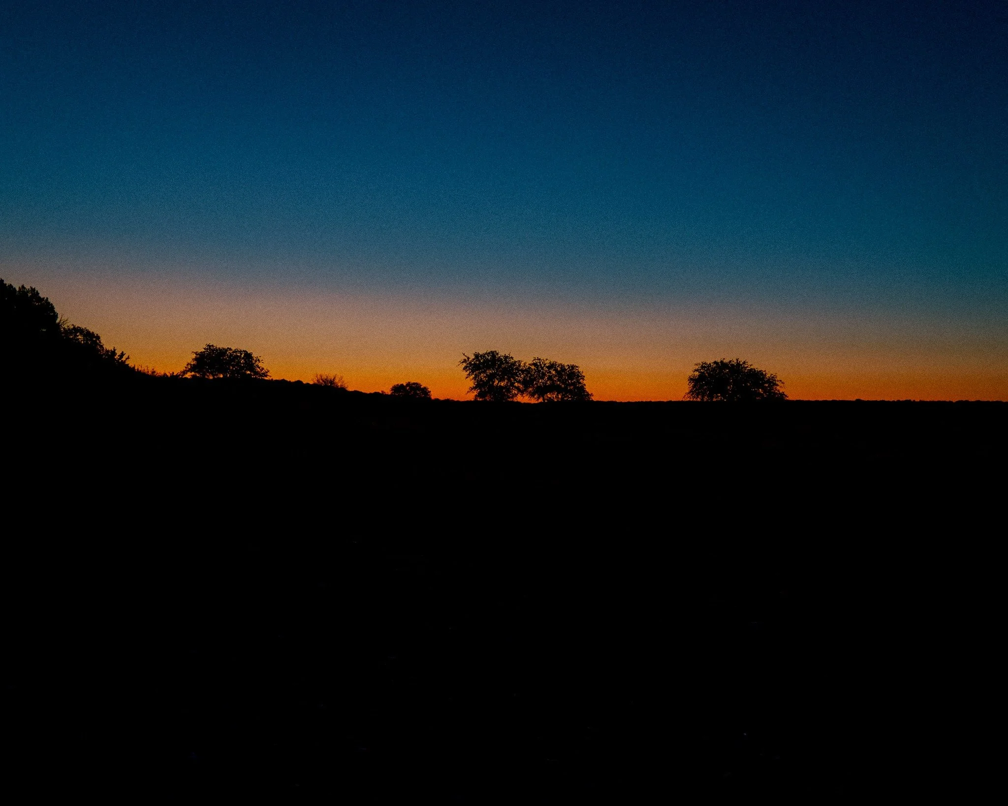 Twilight Horizon