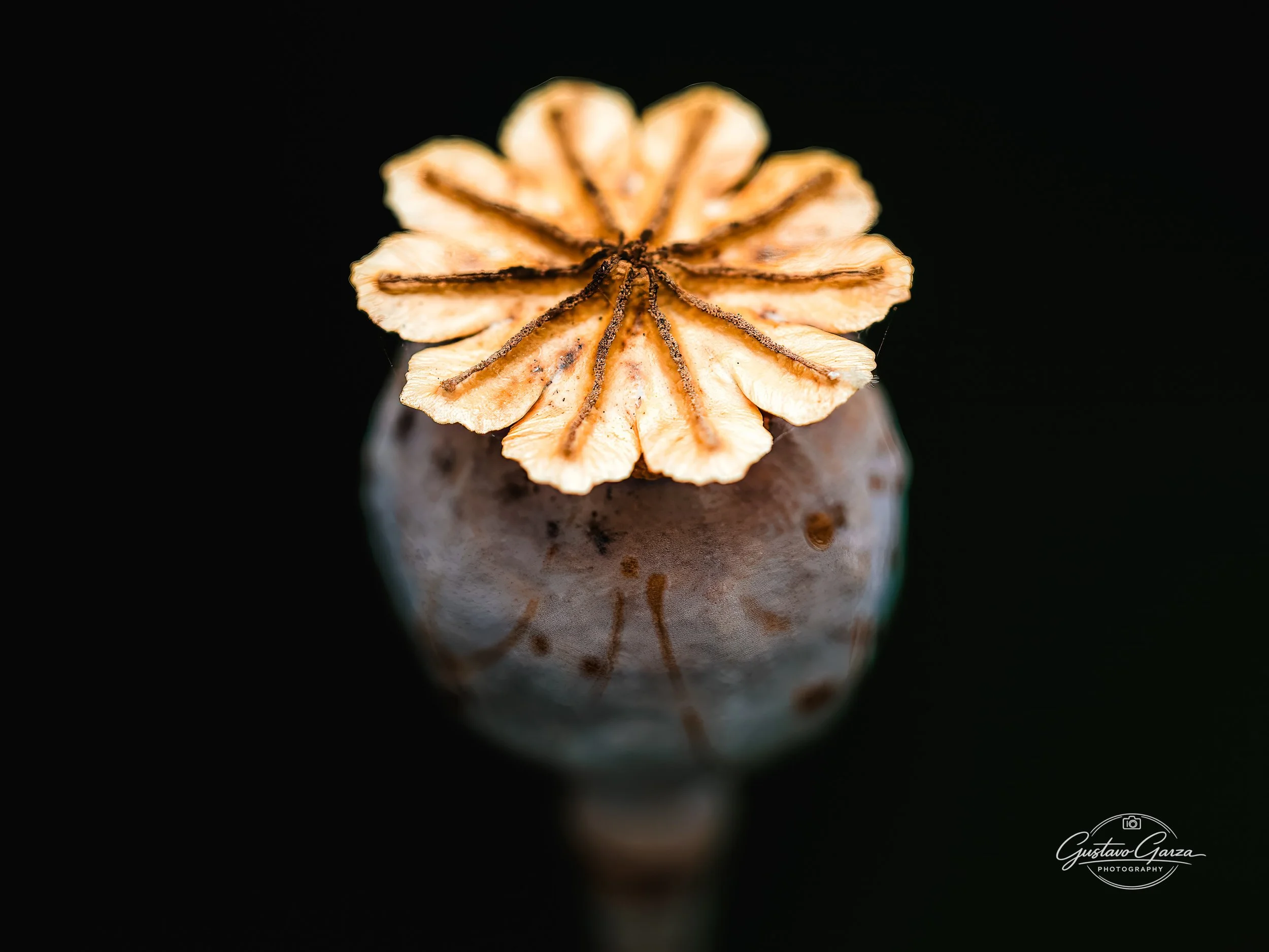 untitled-148.jpg