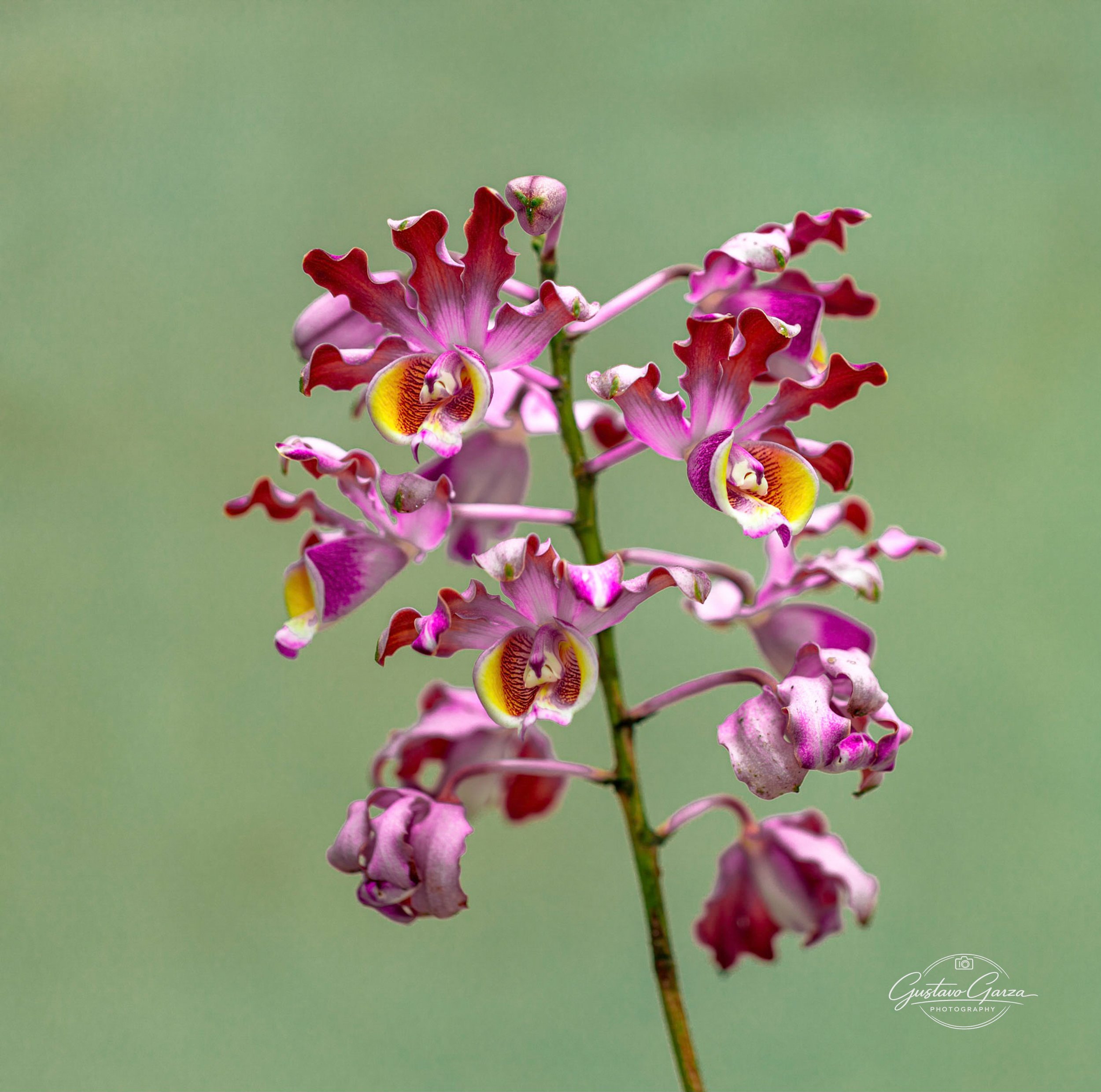 untitled-105.jpg
