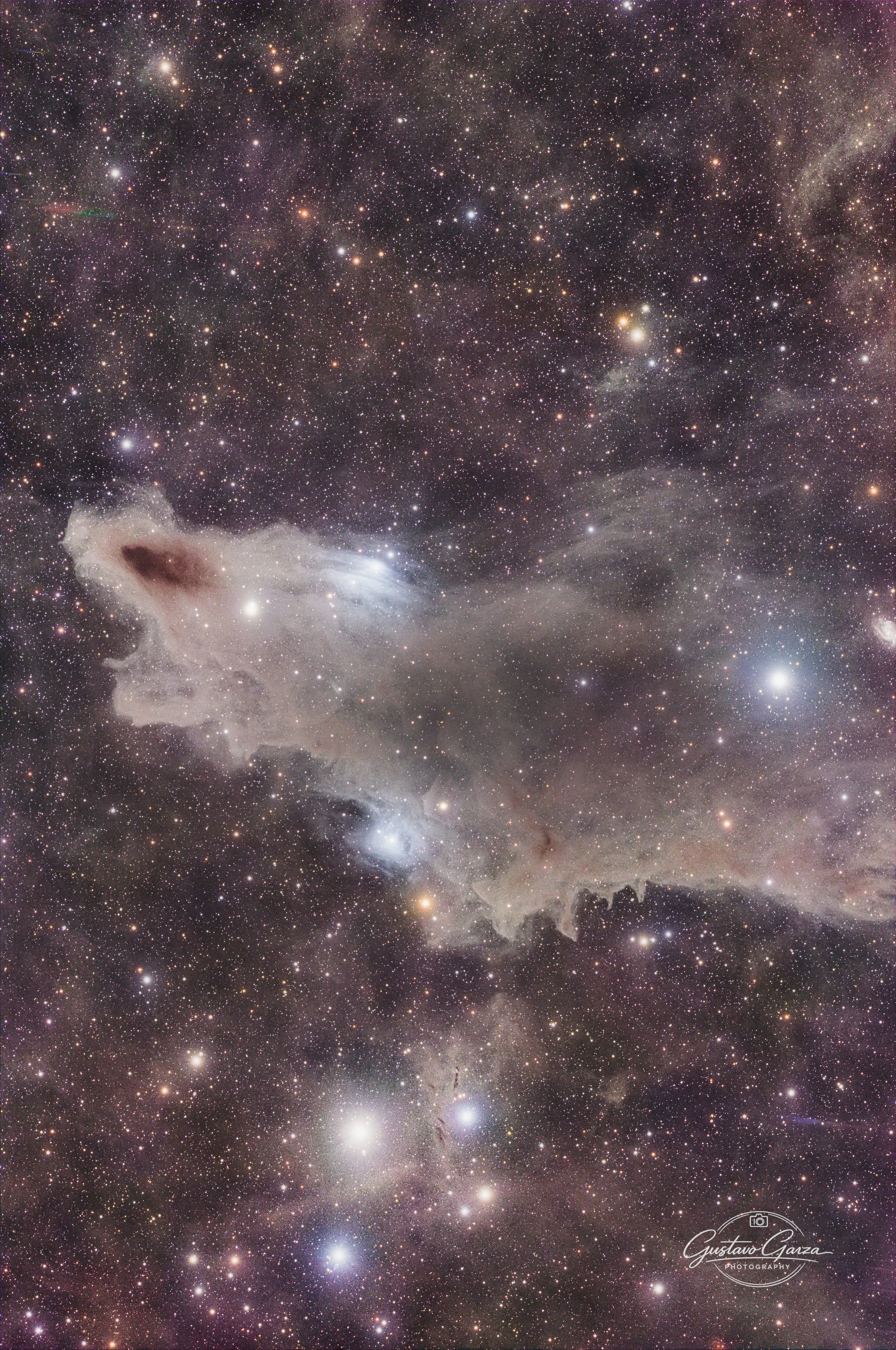 The Shark Nebula (Data Telescope Live)