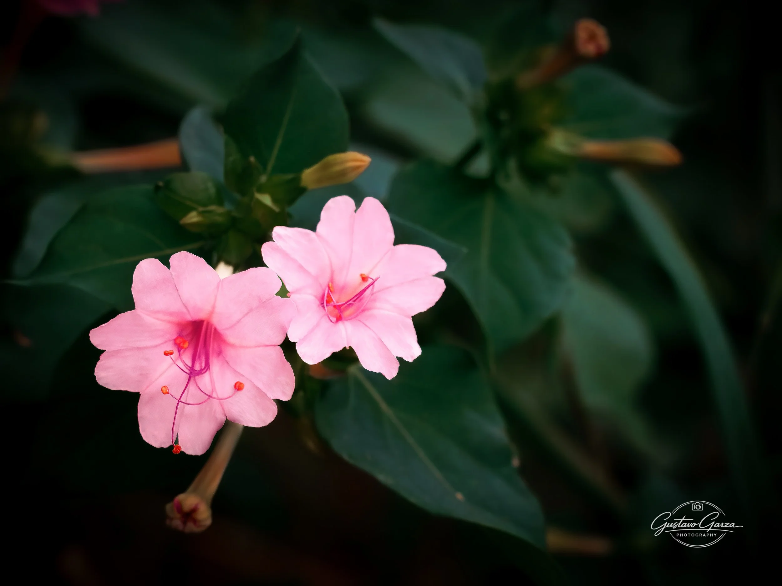 untitled-210.jpg