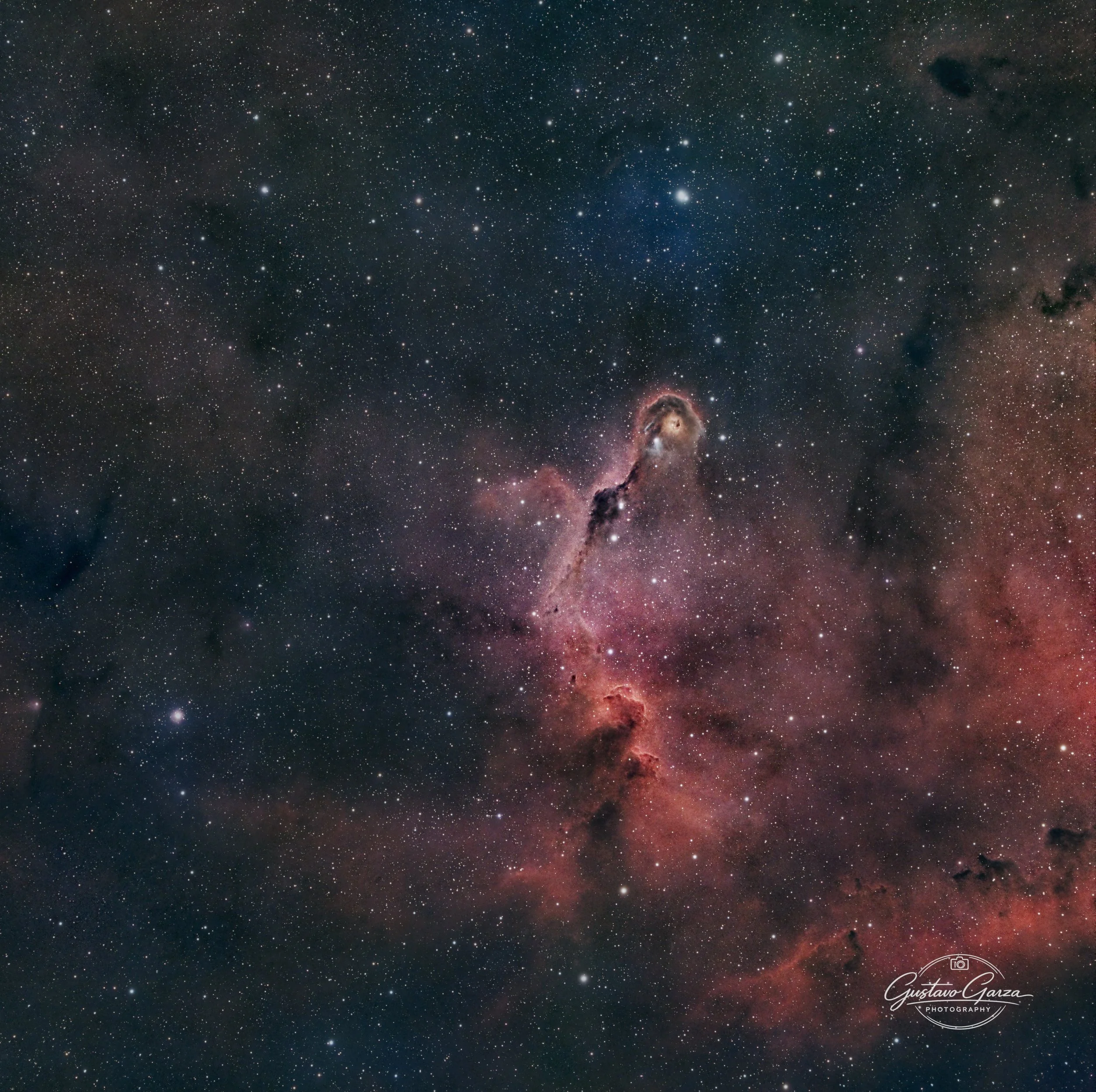 Elephant Trunk Nebula close up