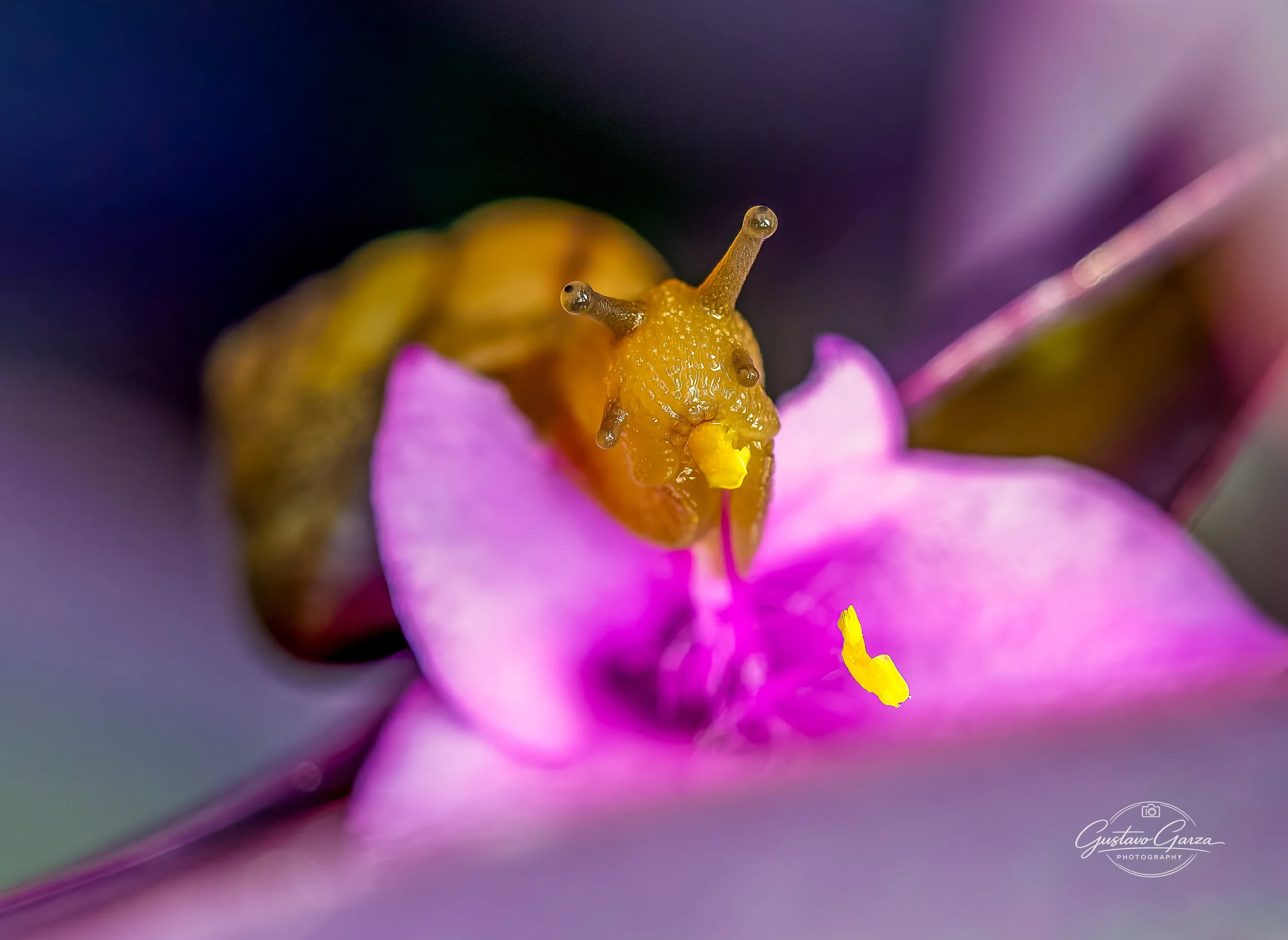 untitled-10.jpg