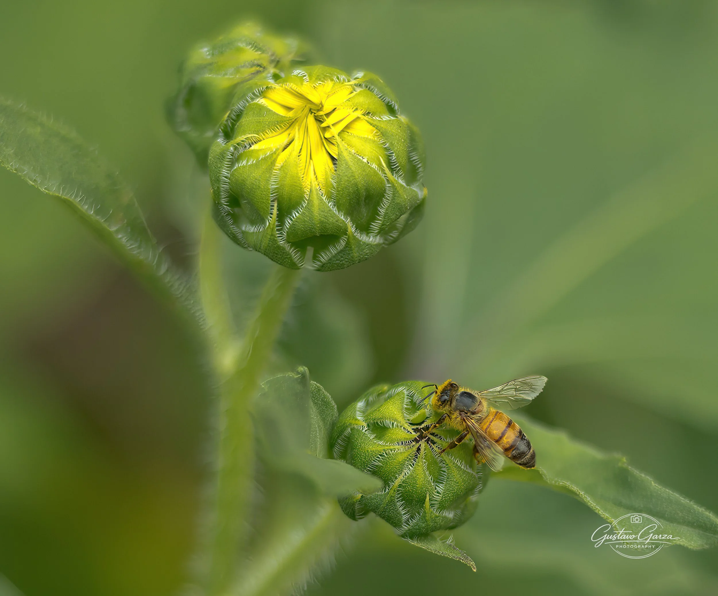 untitled-109.jpg