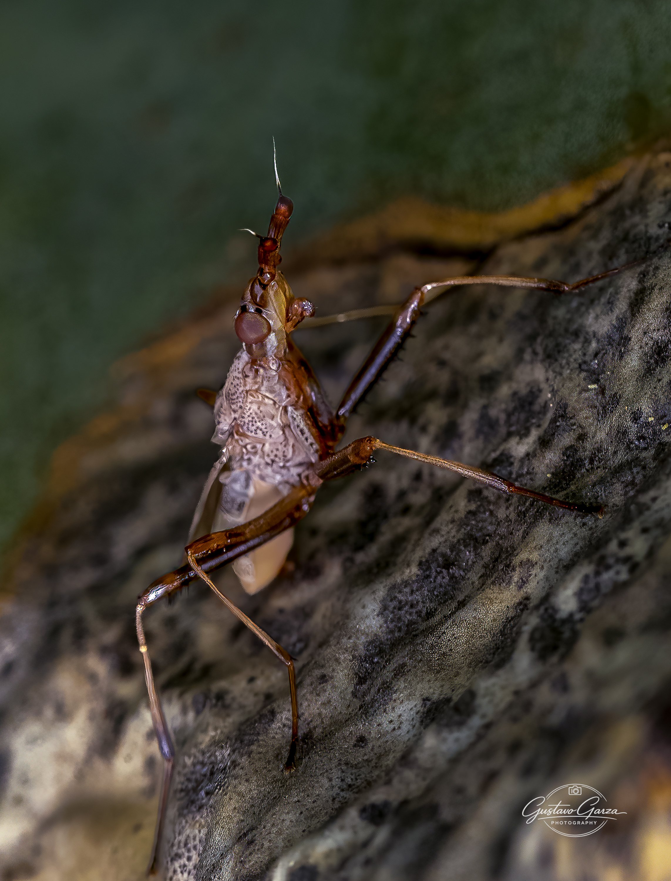 untitled-189.jpg