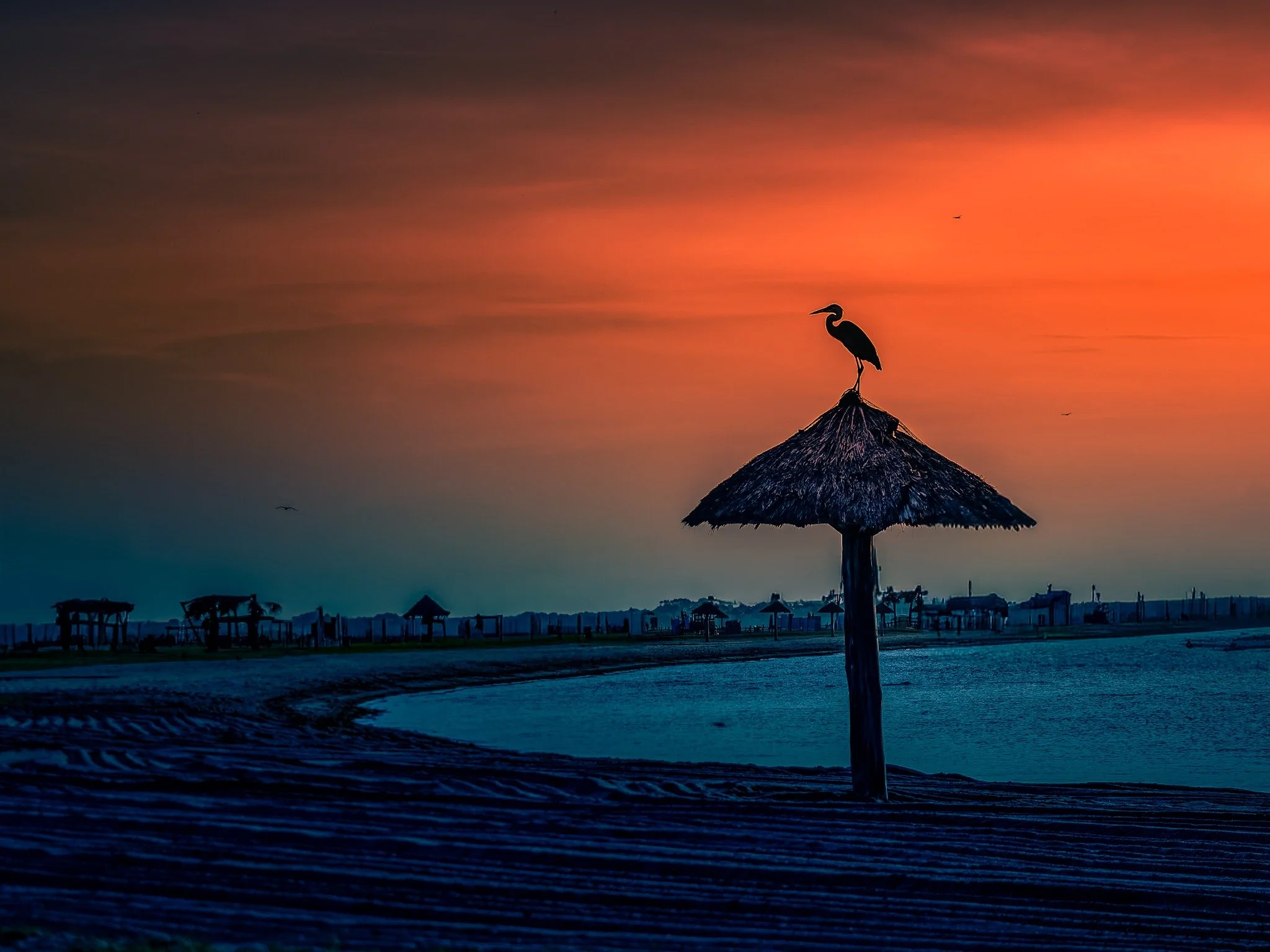 Wading bird silhouetted atop a thatched umbrella at sunset by the water.