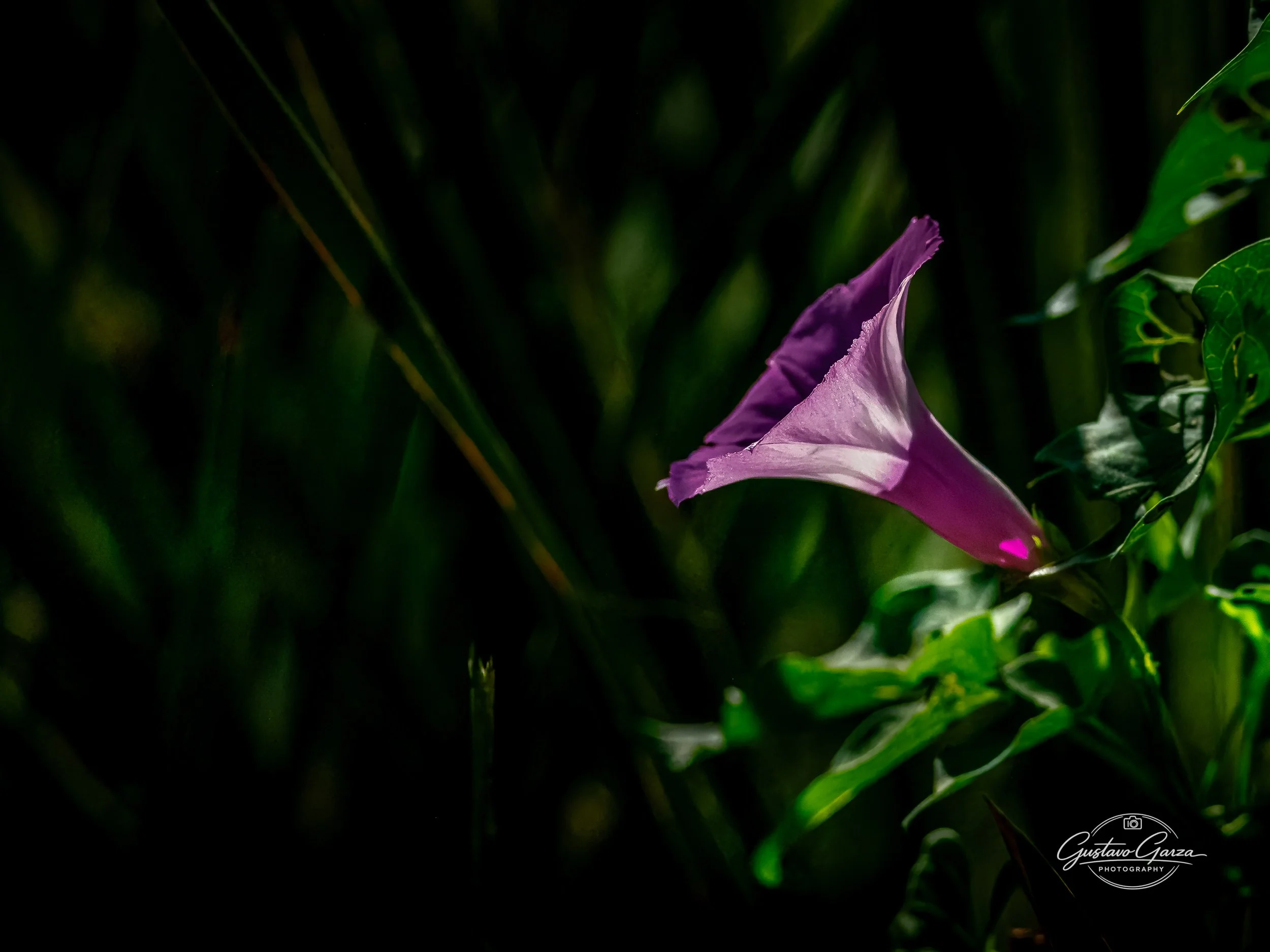 untitled-150.jpg
