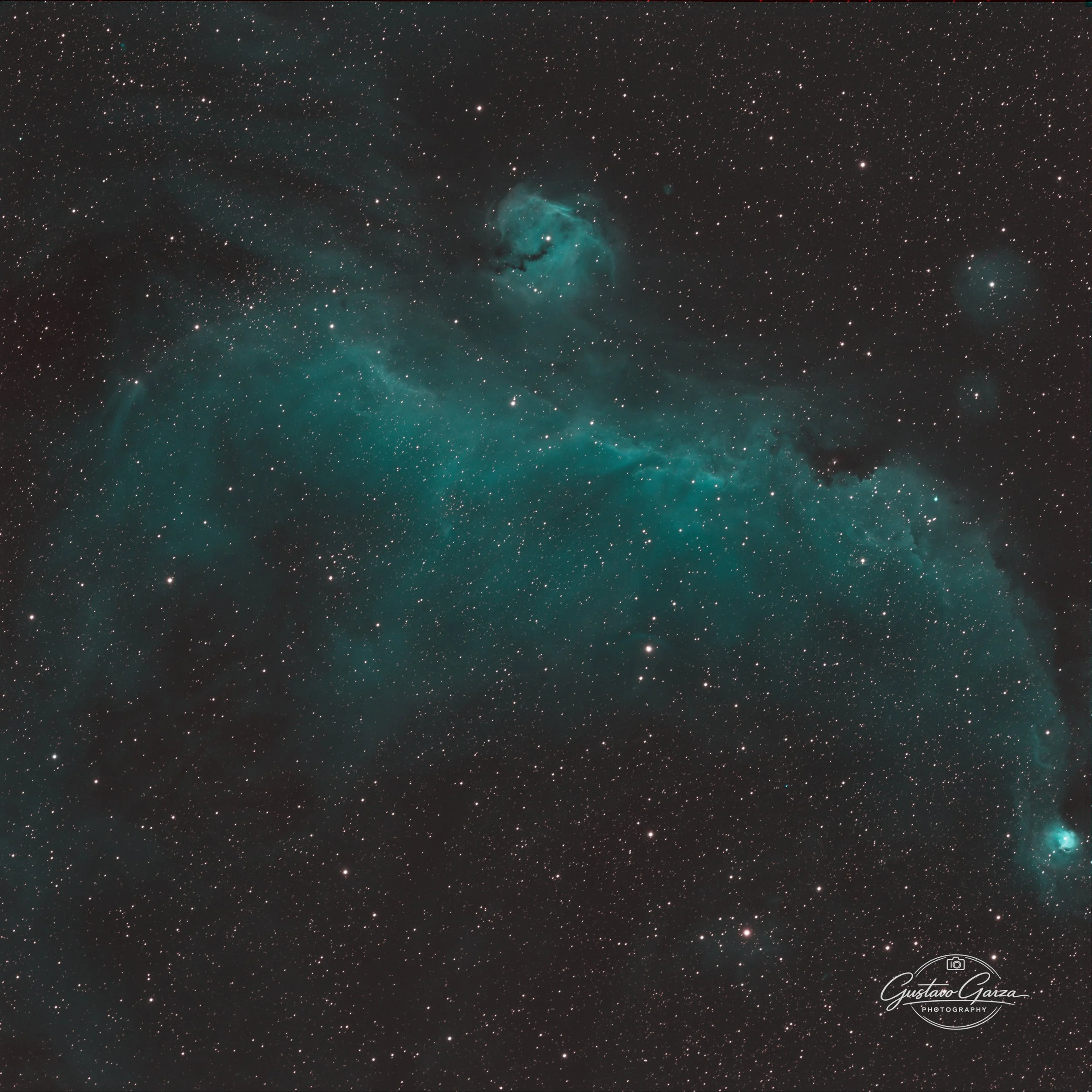 Seagull Nebula
