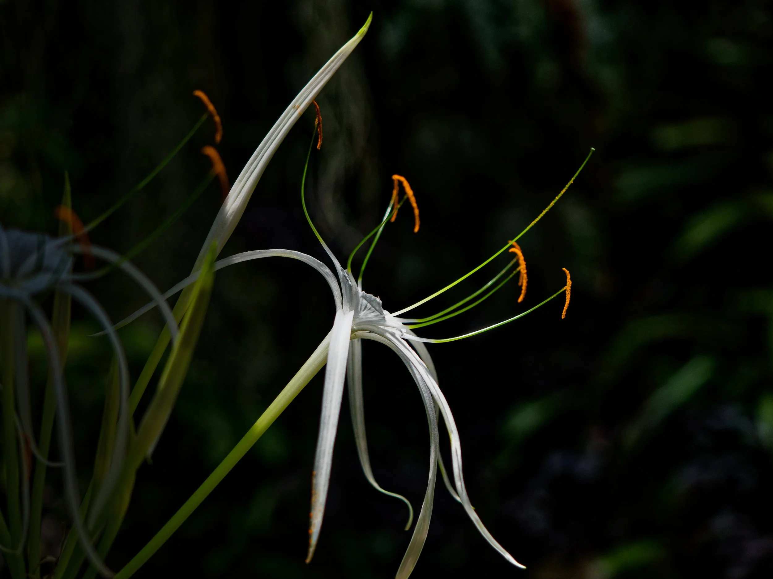 untitled-221.jpg