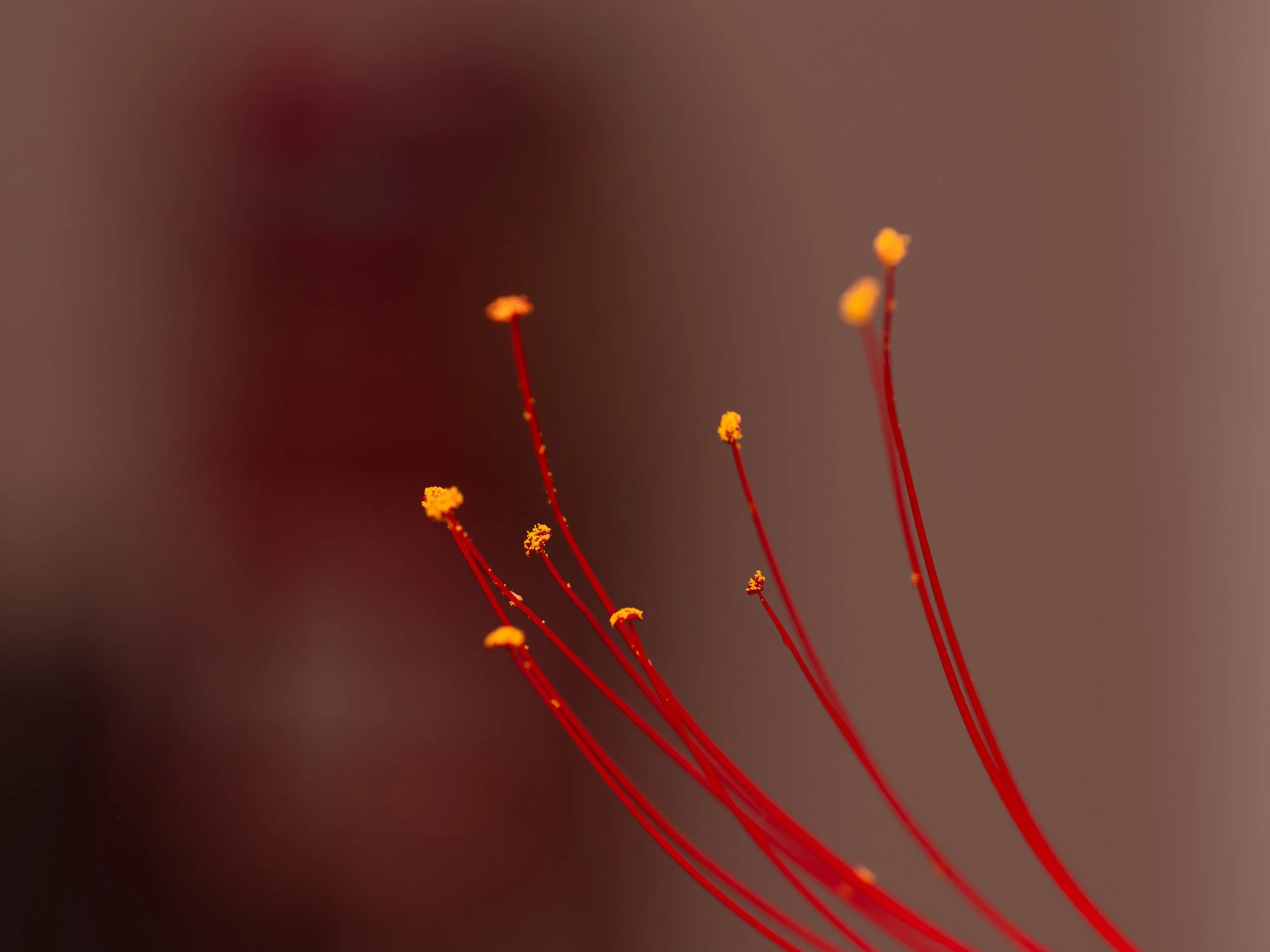 untitled-219.jpg