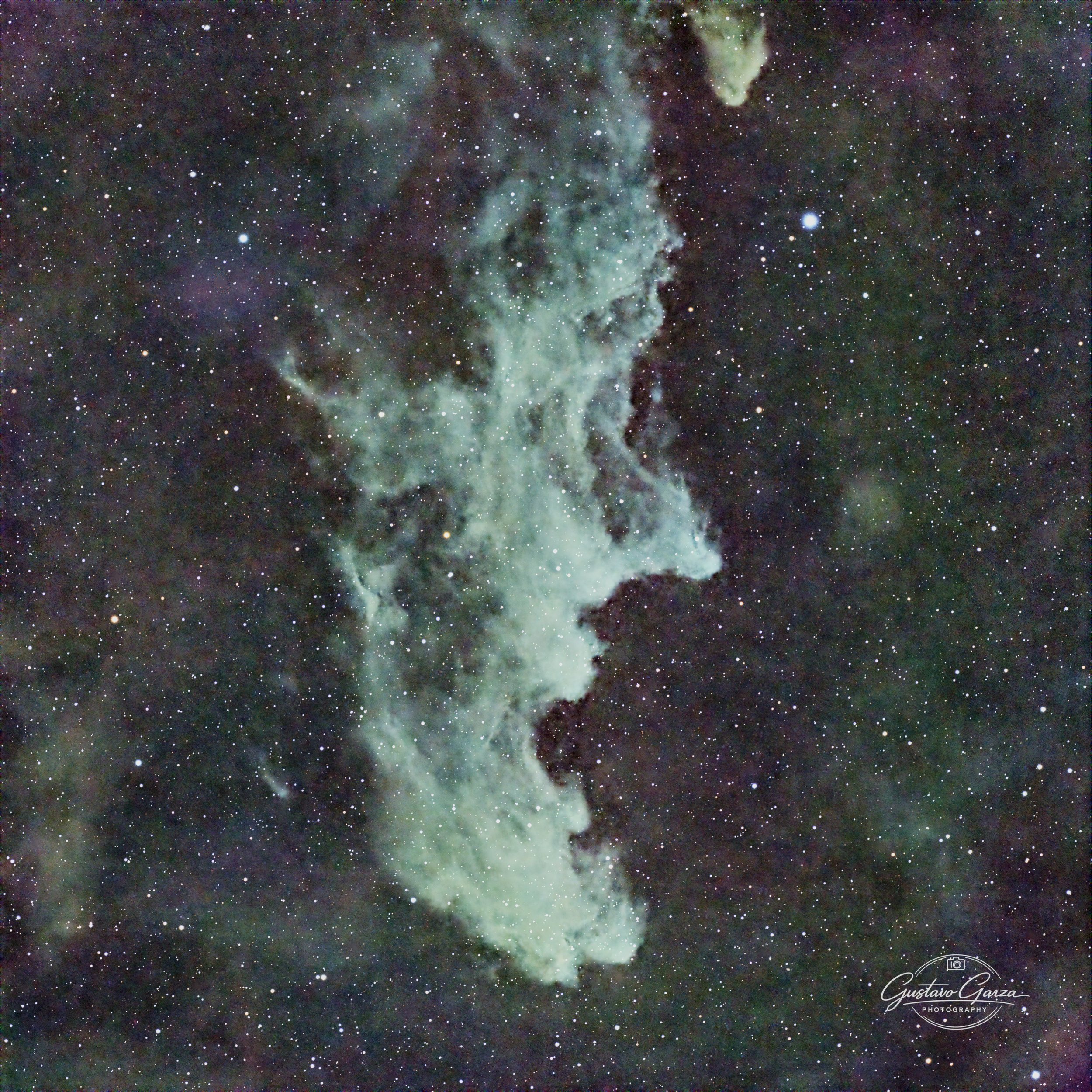 Witch Head Nebula