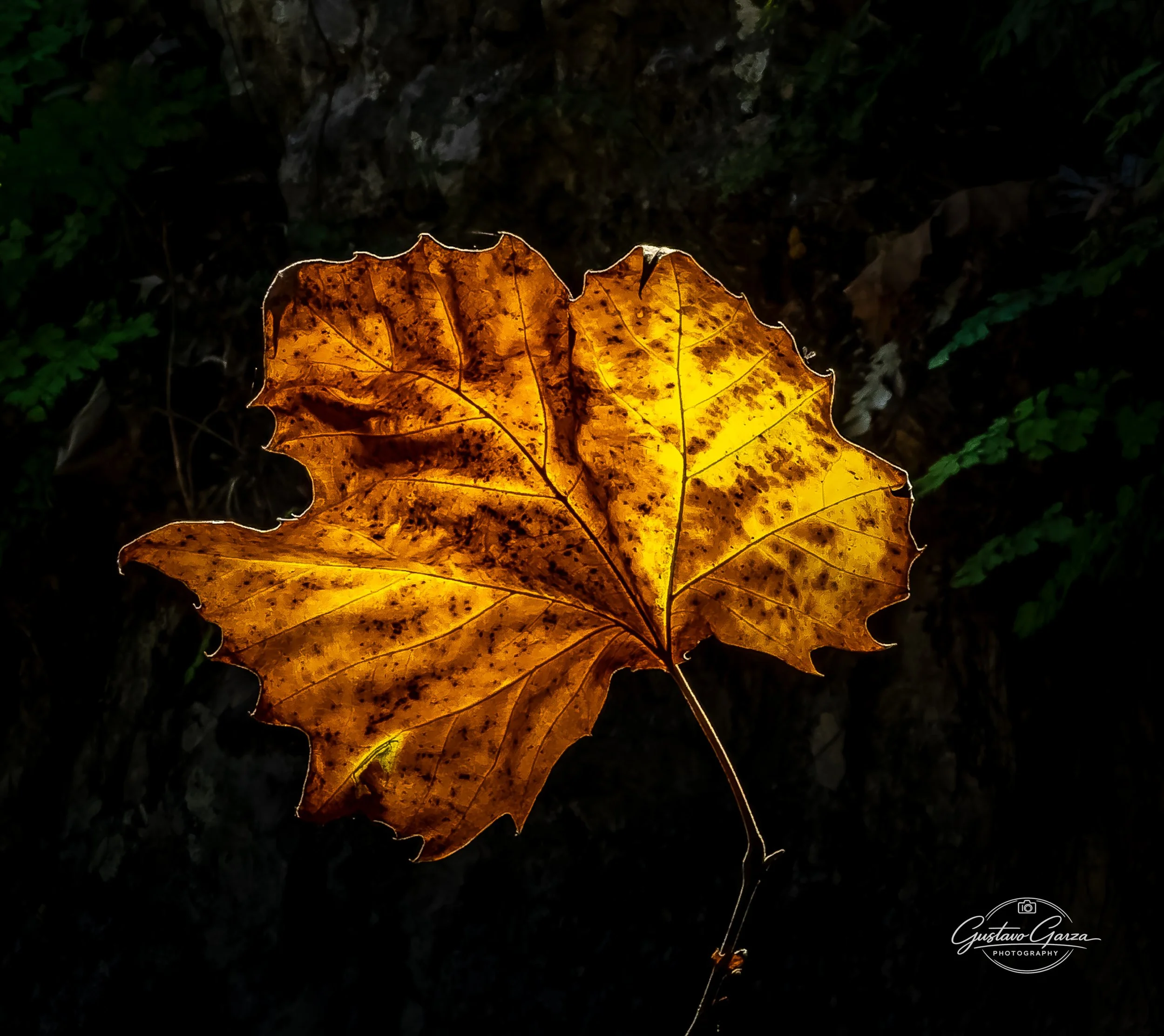 untitled-146.jpg