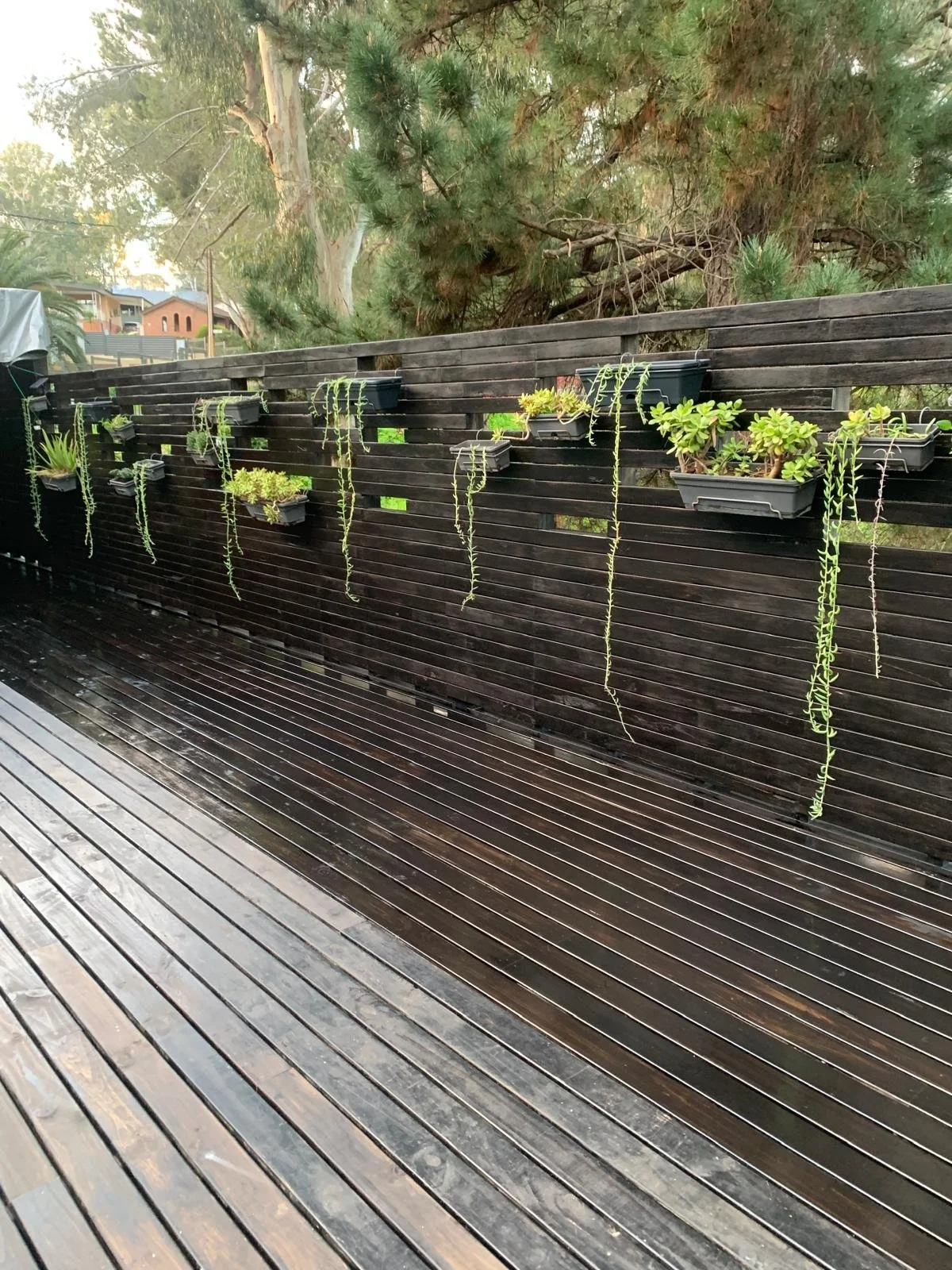 Outdoor wooden deck with a dark slatted fence lined with wall-mounted planters of succulents and trailing plants