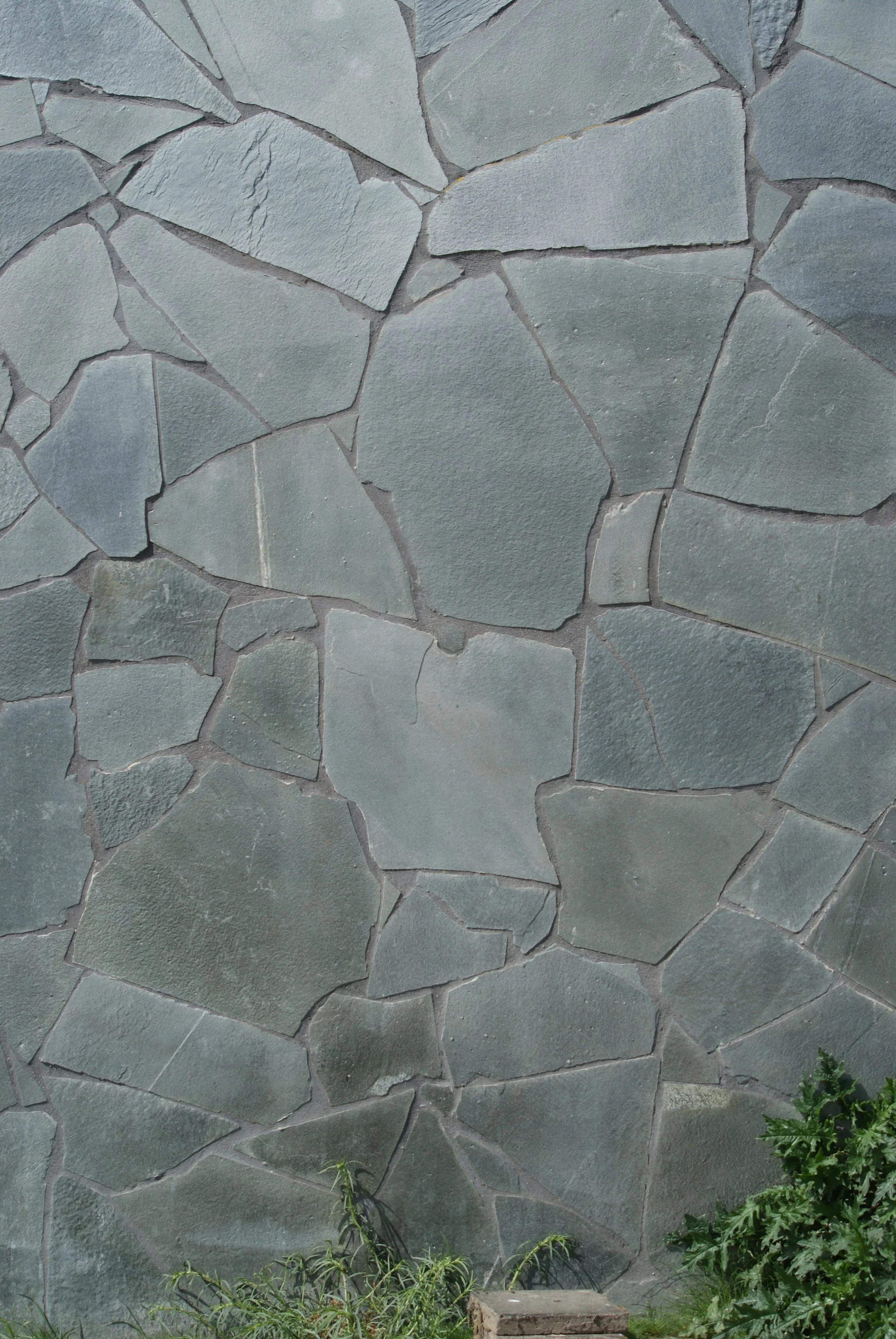 Close-up of a weathered gray stone wall made of irregular slate slabs, with grass and leafy plants along the base.