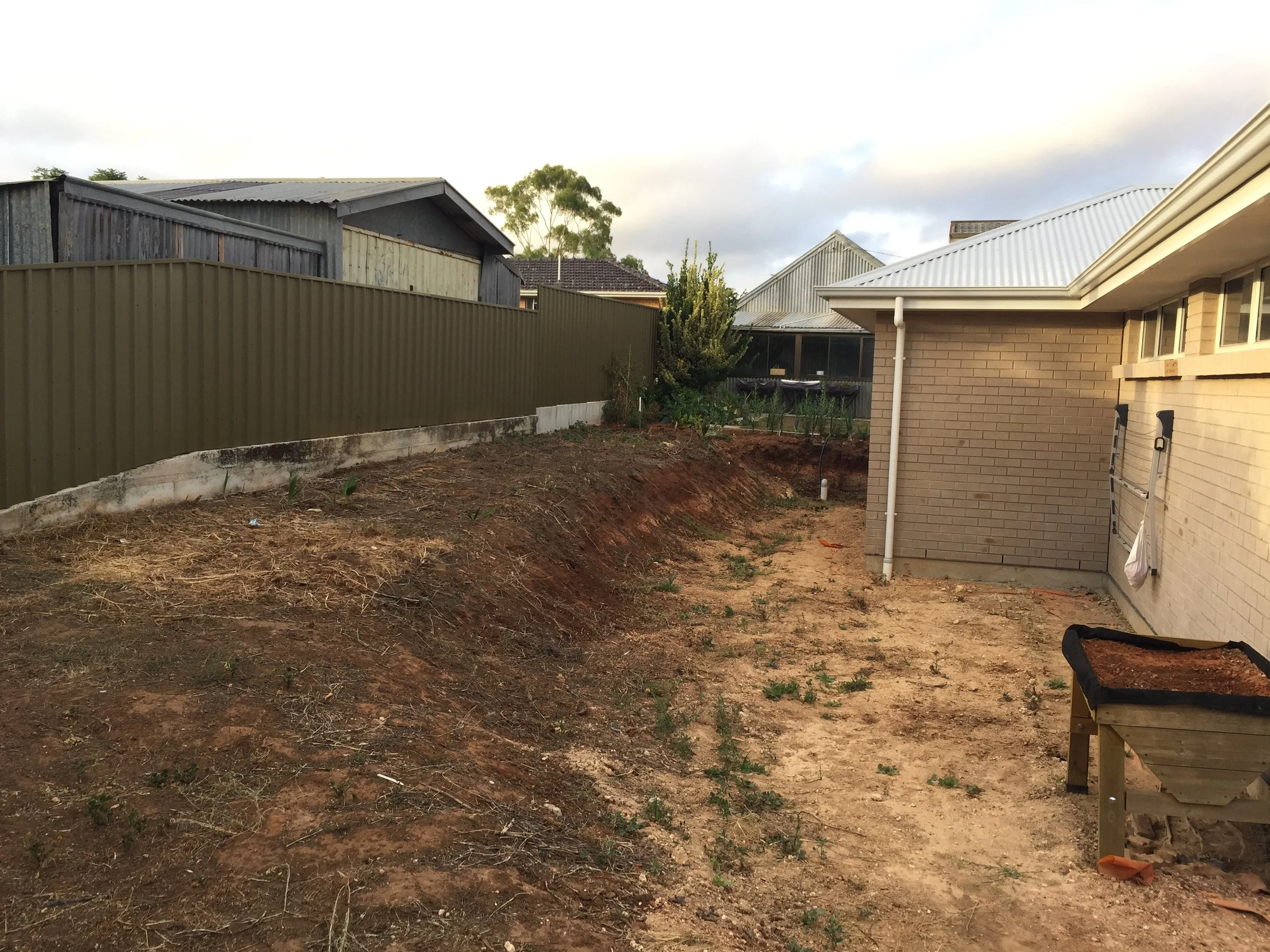 Backyard with a corrugated metal fence, brick house, shed roofs, bare soil, and a small garden under a cloudy sky