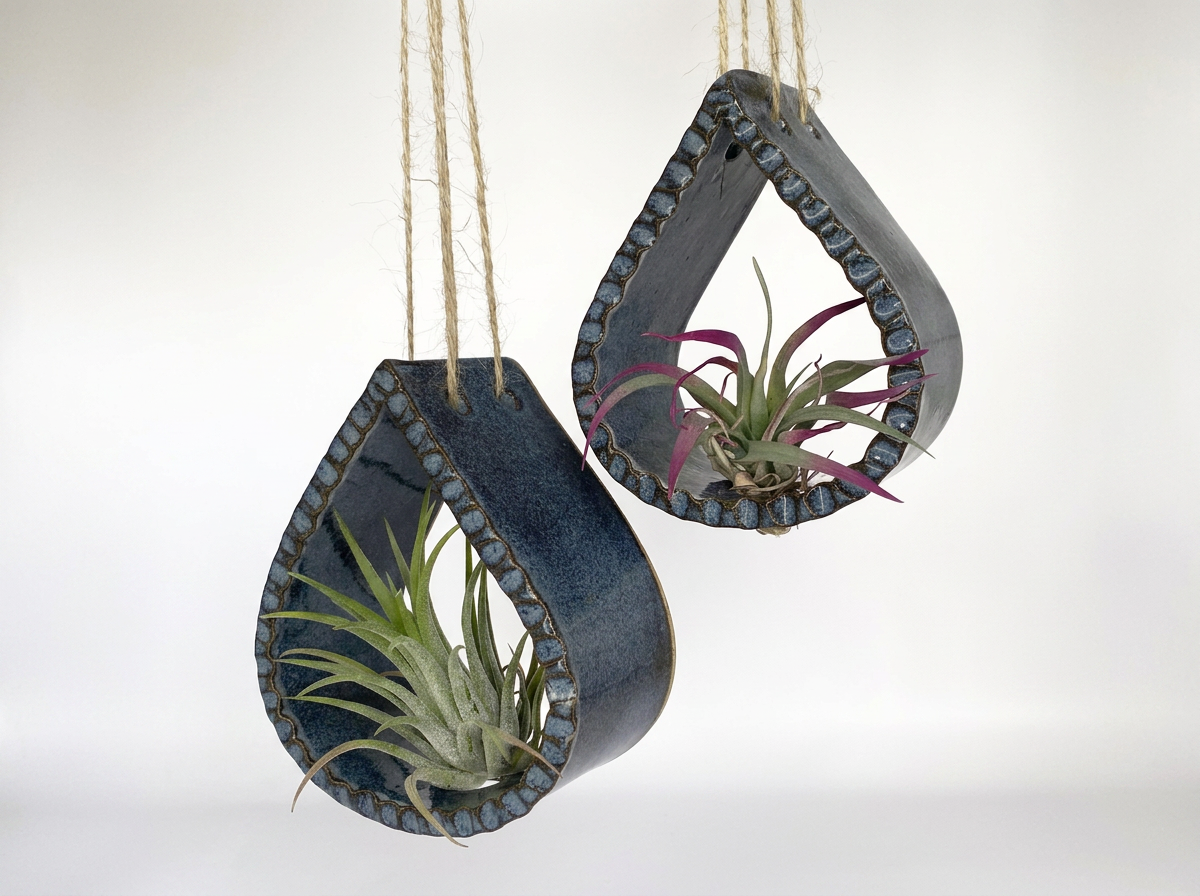 Two hanging ceramic planters with air plants, suspended from ropes against a plain white background.