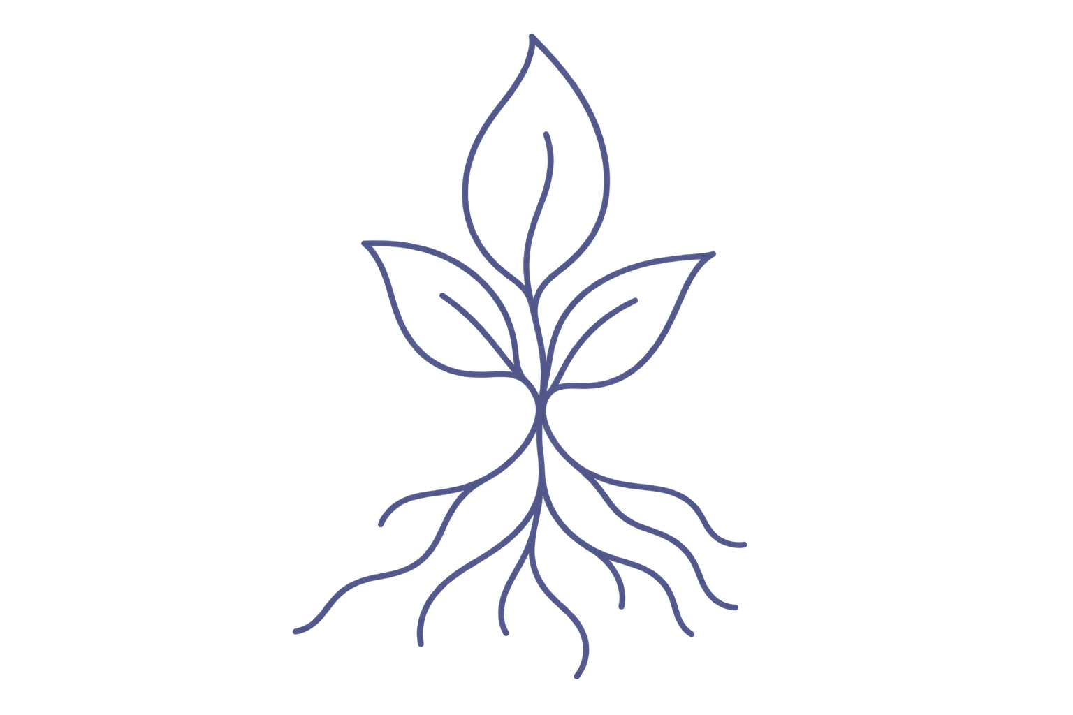 Roots representing the family, culture, relationships, and experiences that shape identity.