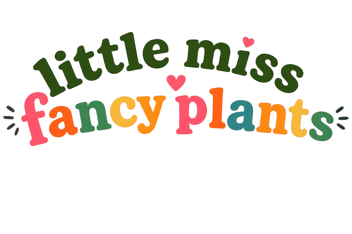 Little Miss Fancy Plants