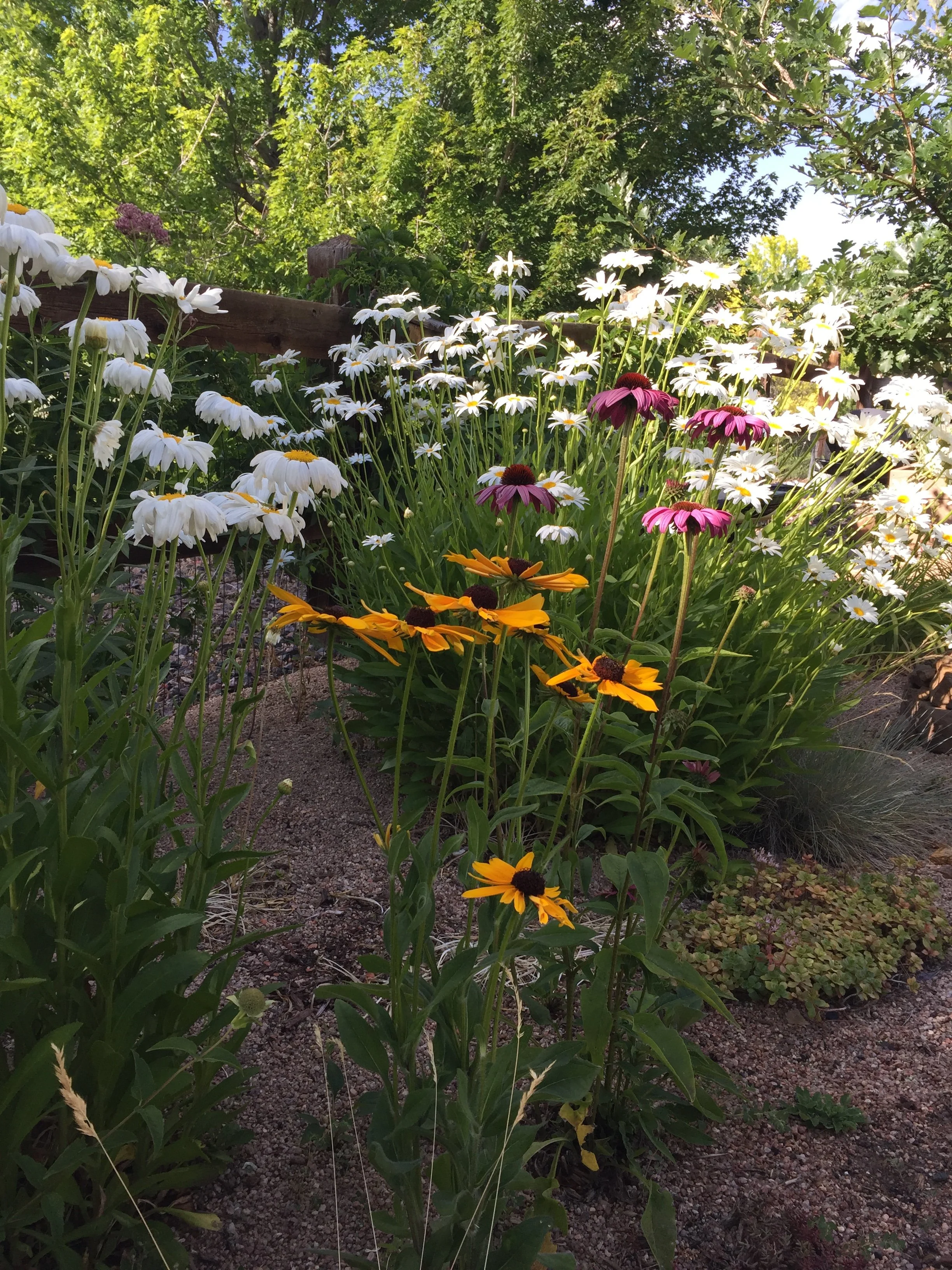 Garden Design #1