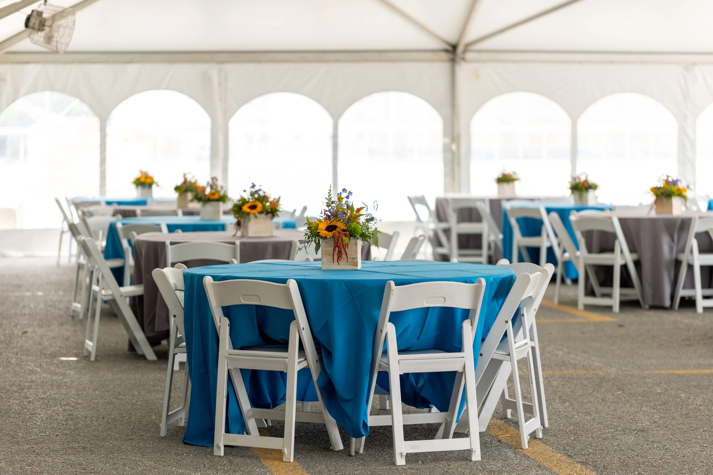 Shelter-Systems-Limited-50th-Anniversary-5763.jpg