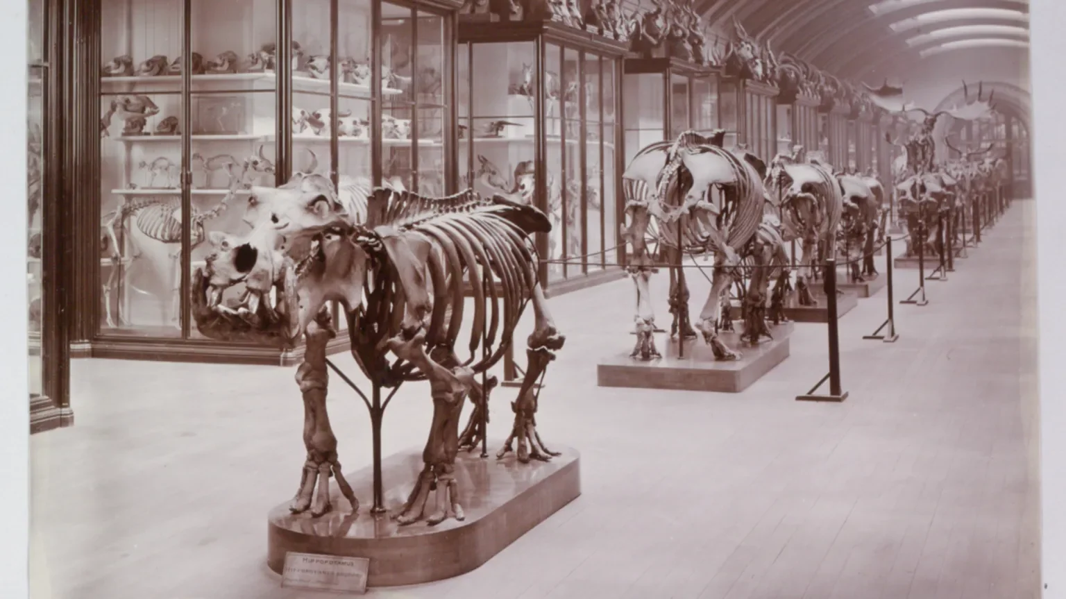 Museum Gallery to Reopen After 83 Years