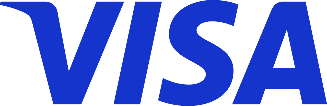 blue VISA credit card logo