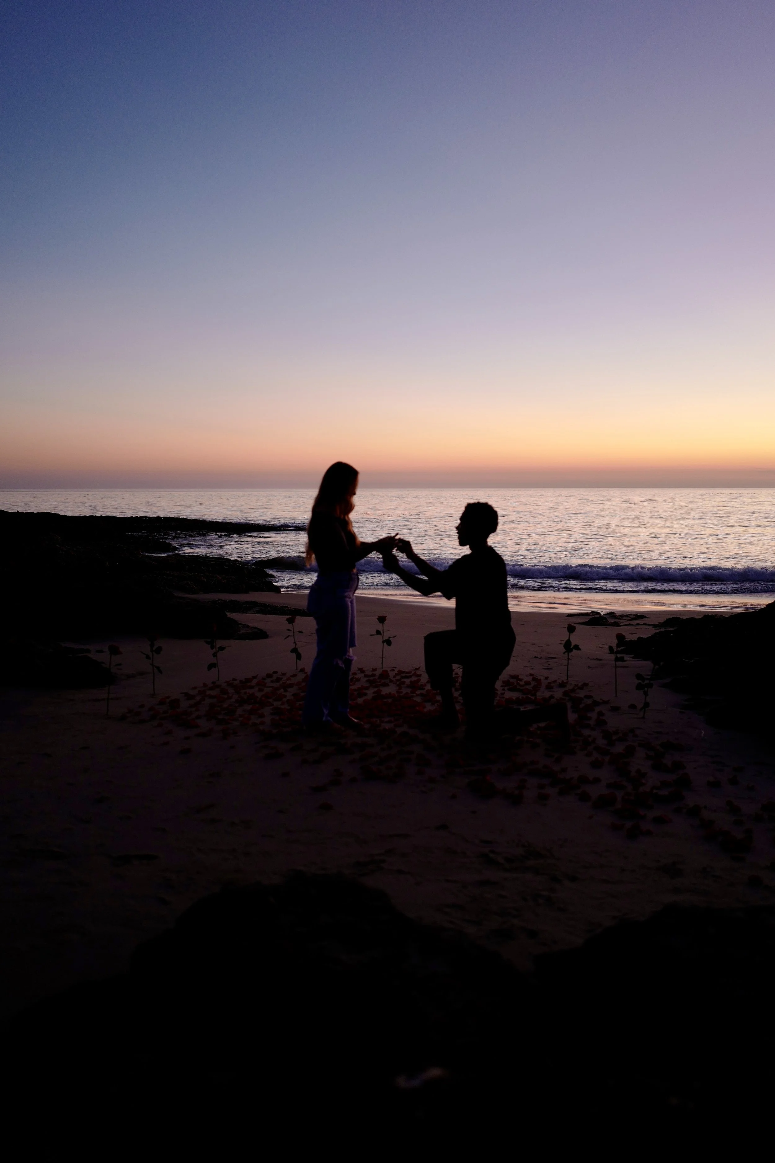 Proposals