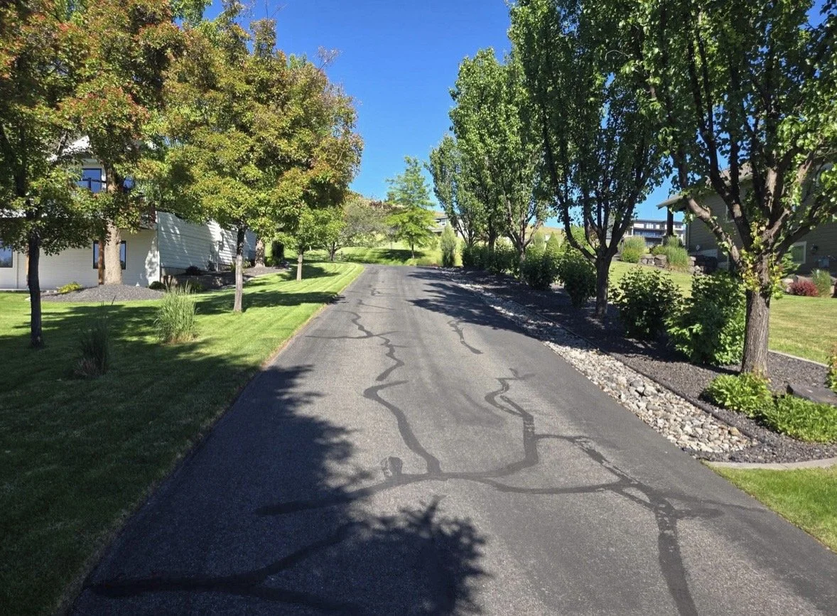 Residential street with trees on both sides, houses partially visible, and a clear blue sky.