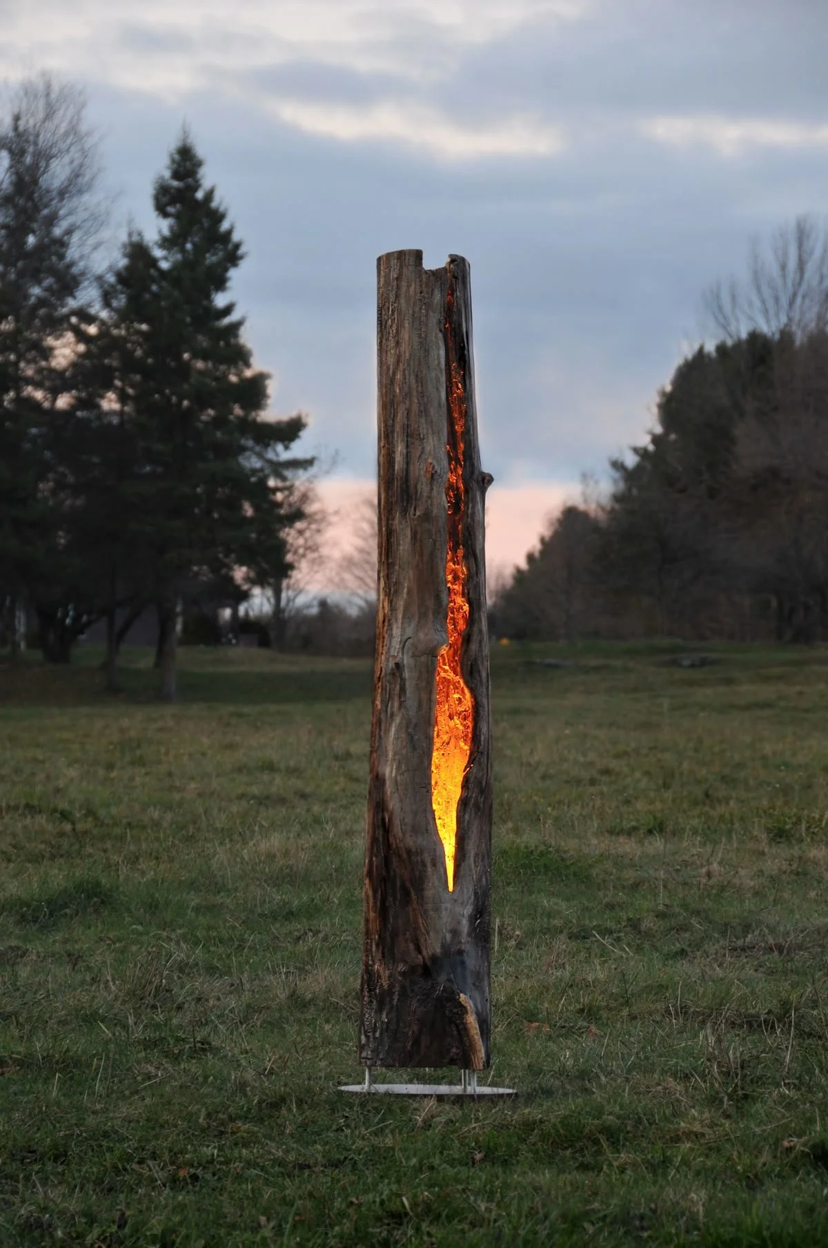Tree Lamp