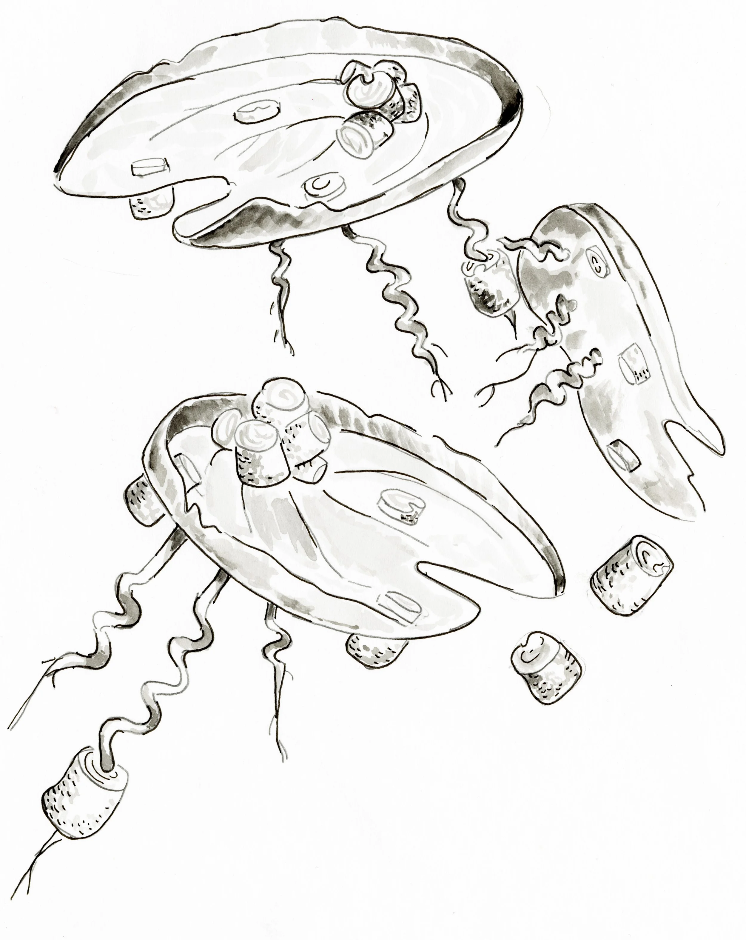 LillypadCorkscrew.jpg