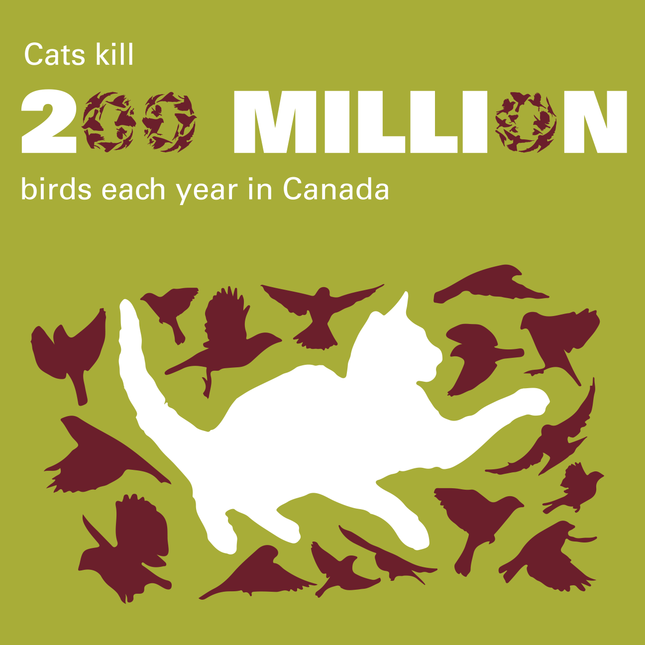 Toronto Zoo Animal Signs & Print Materials